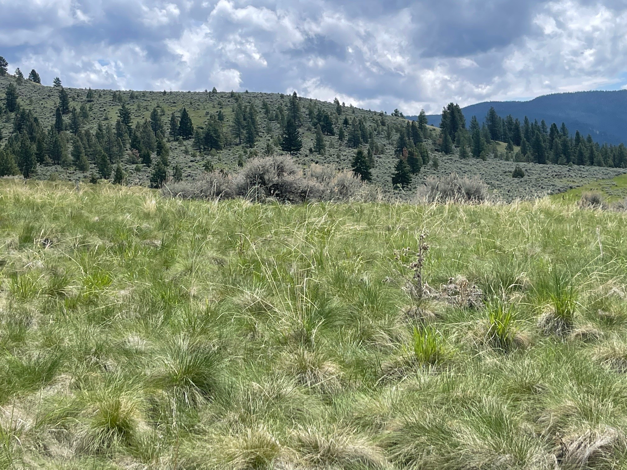 000 Sapphire Ranch Trail Property Photo 9