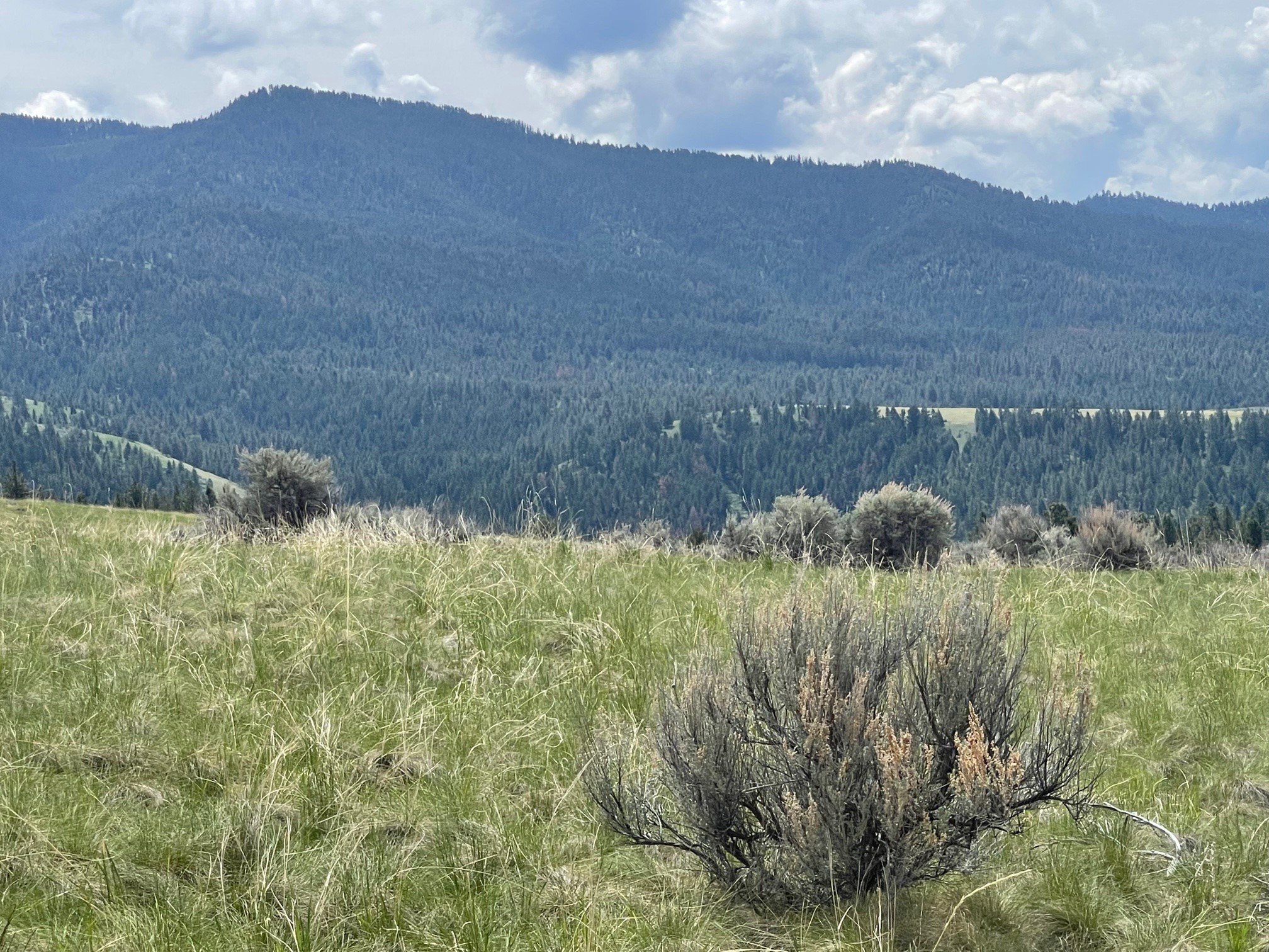 000 Sapphire Ranch Trail Property Photo 12