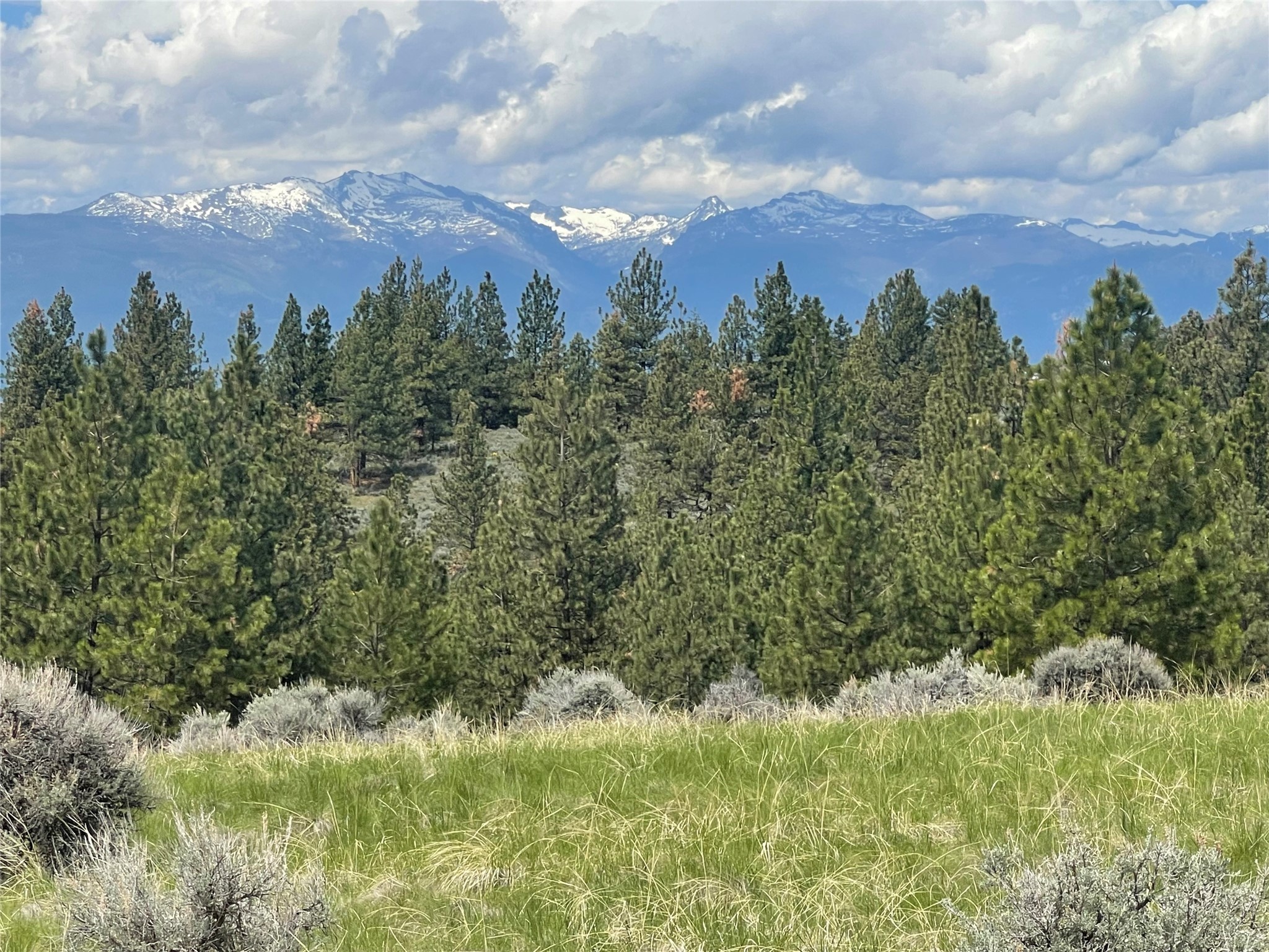 000 Sapphire Ranch Trail Property Photo 16