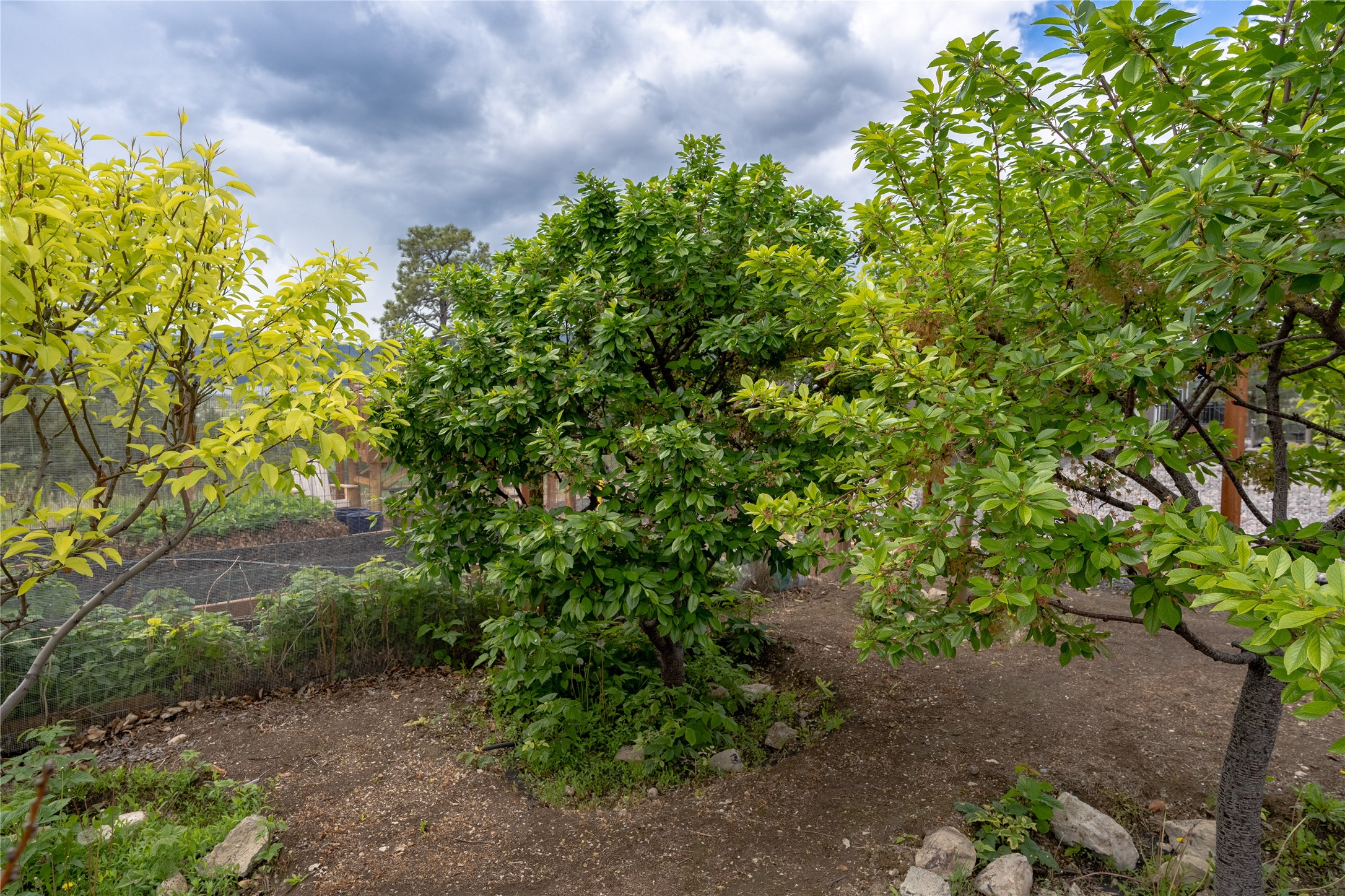 Property Photo 24