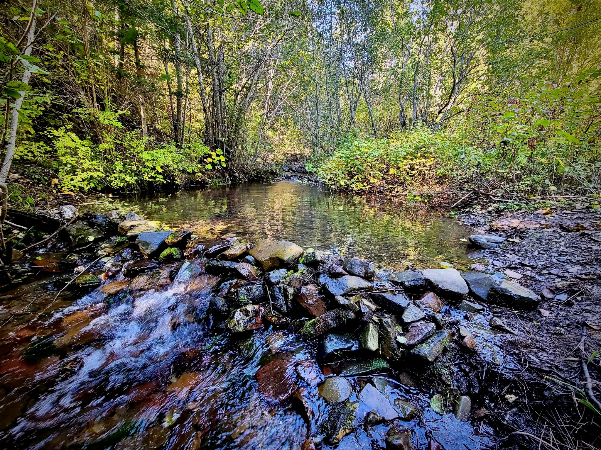 Nhn W Mountain Creek Road Property Photo 1