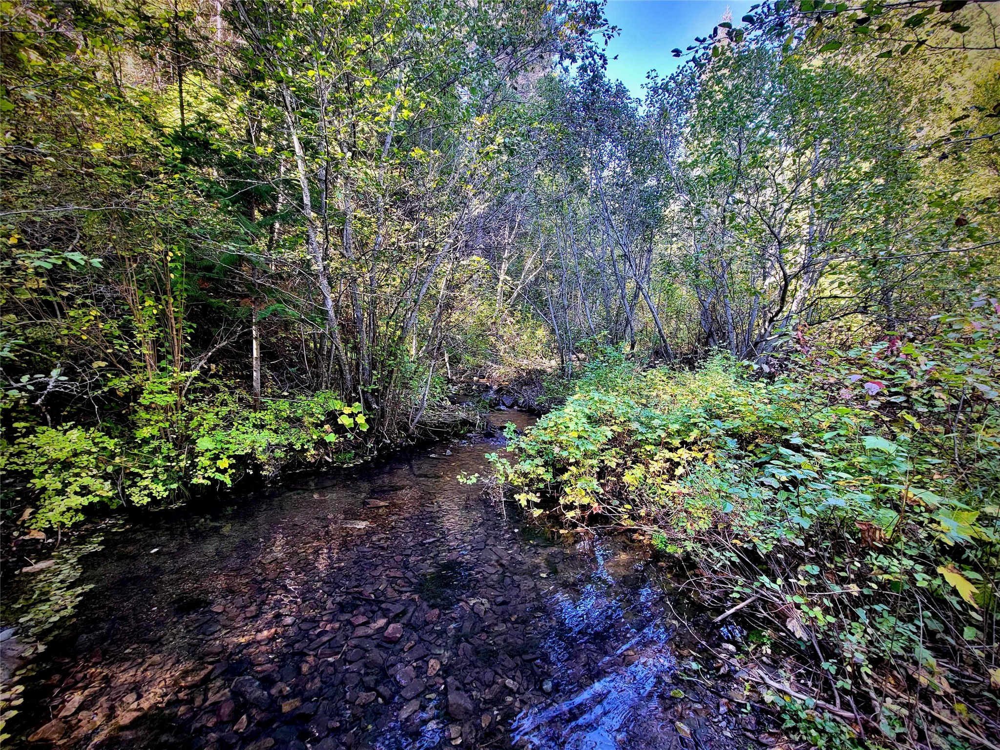 Nhn W Mountain Creek Road Property Photo 2