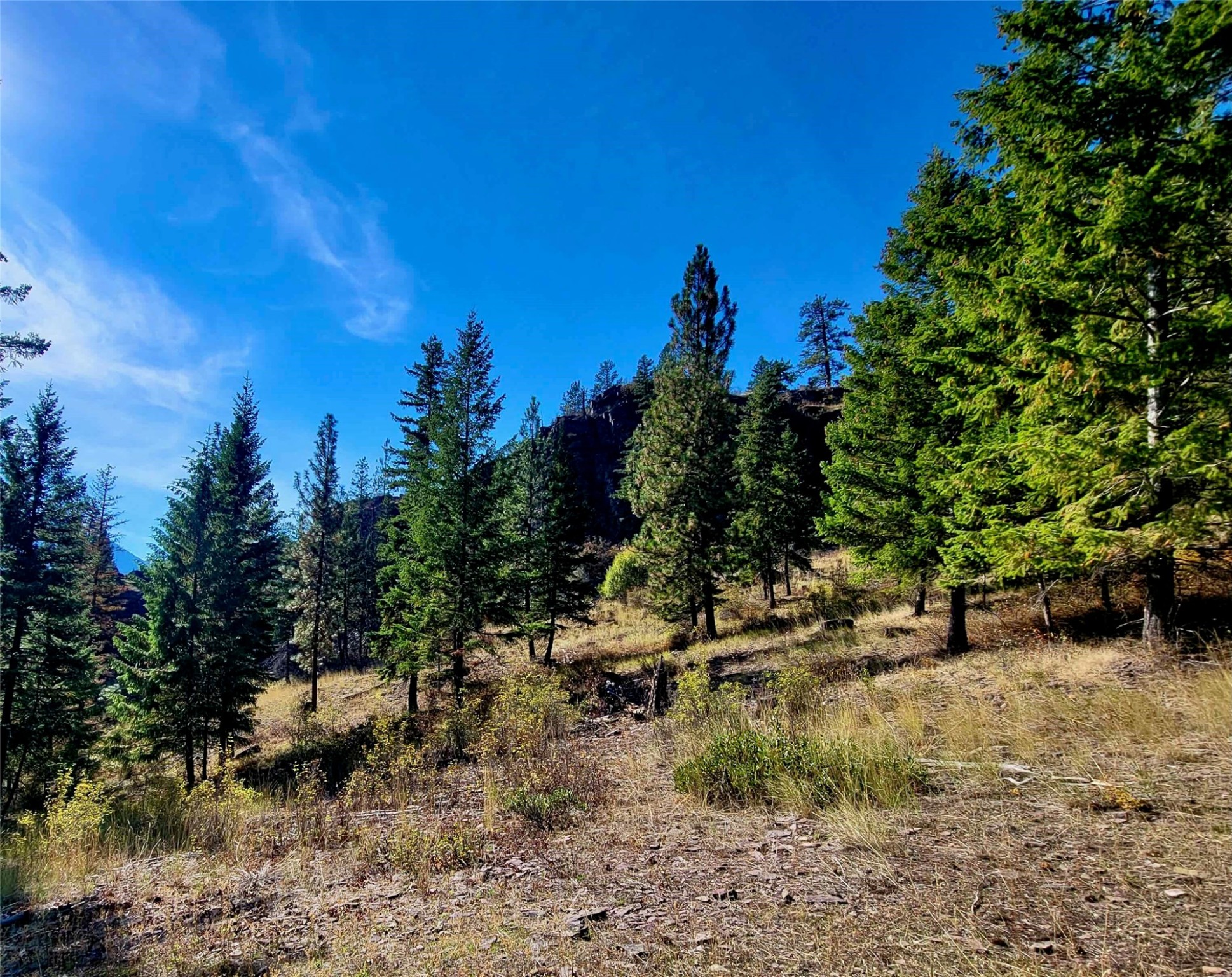 Nhn W Mountain Creek Road Property Photo 4