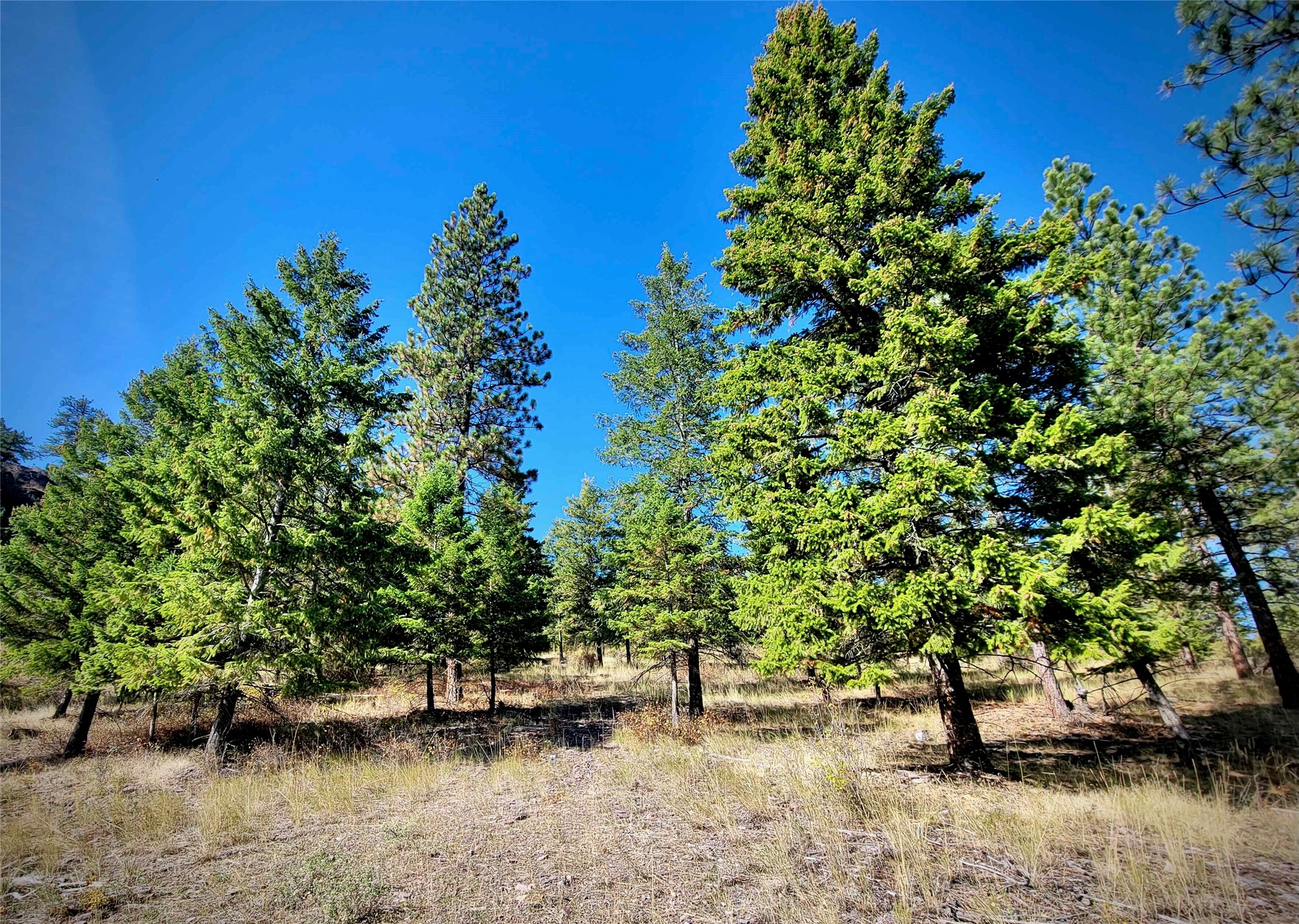 Nhn W Mountain Creek Road Property Photo 6