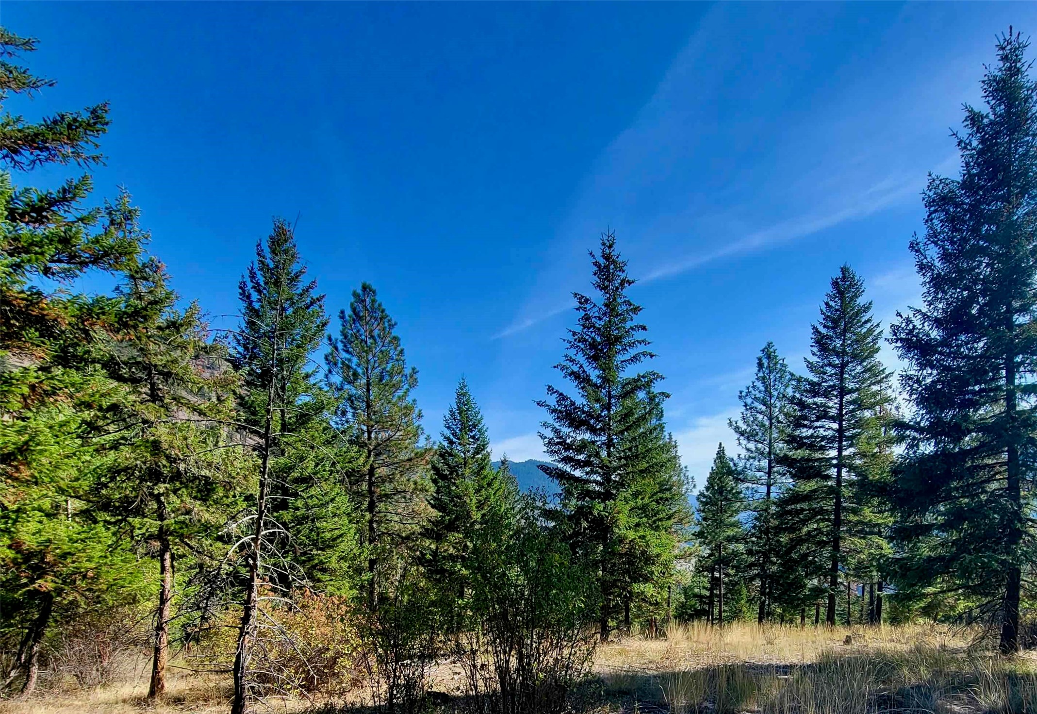 Nhn W Mountain Creek Road Property Photo 8