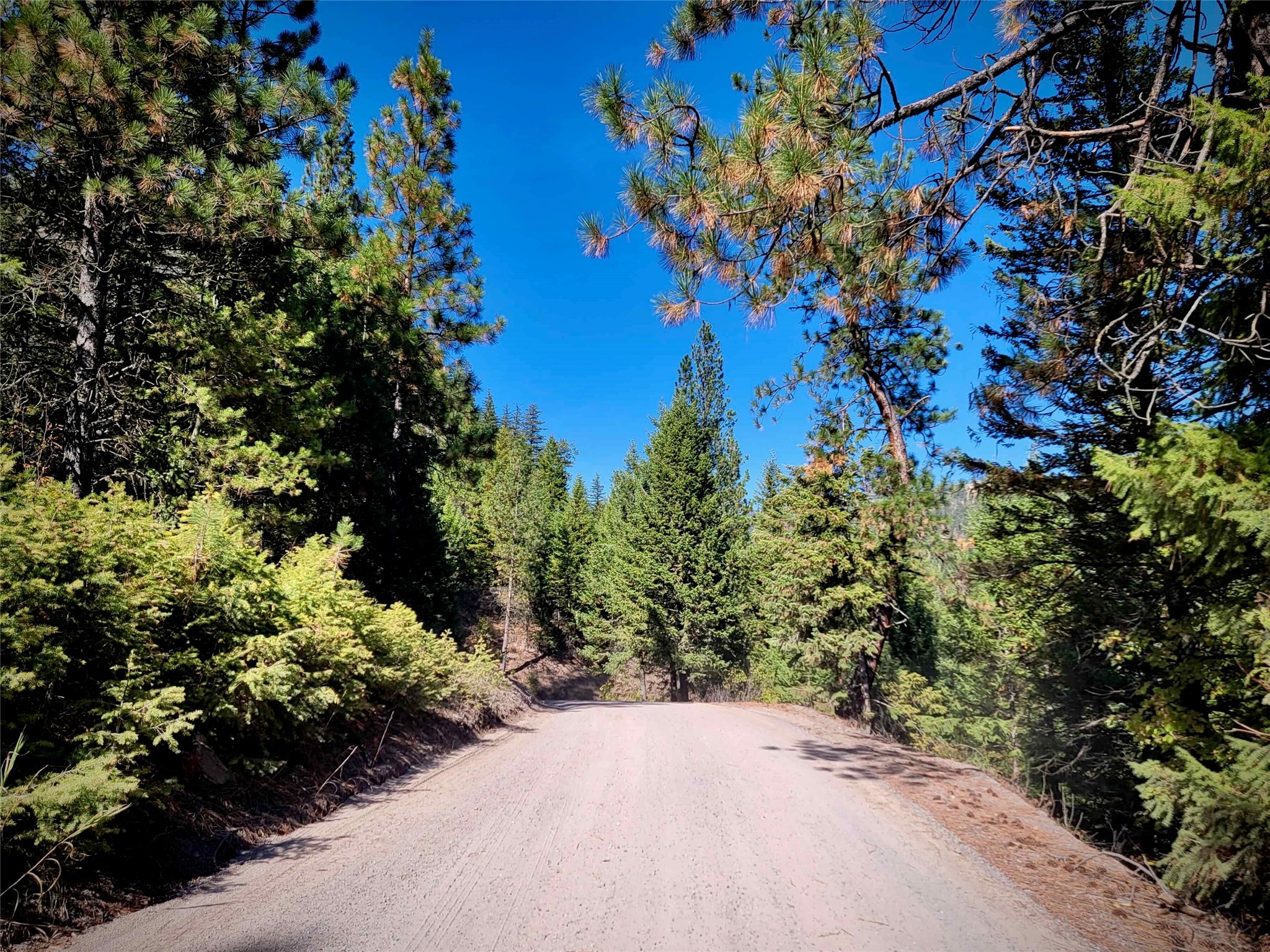 Nhn W Mountain Creek Road Property Photo 10
