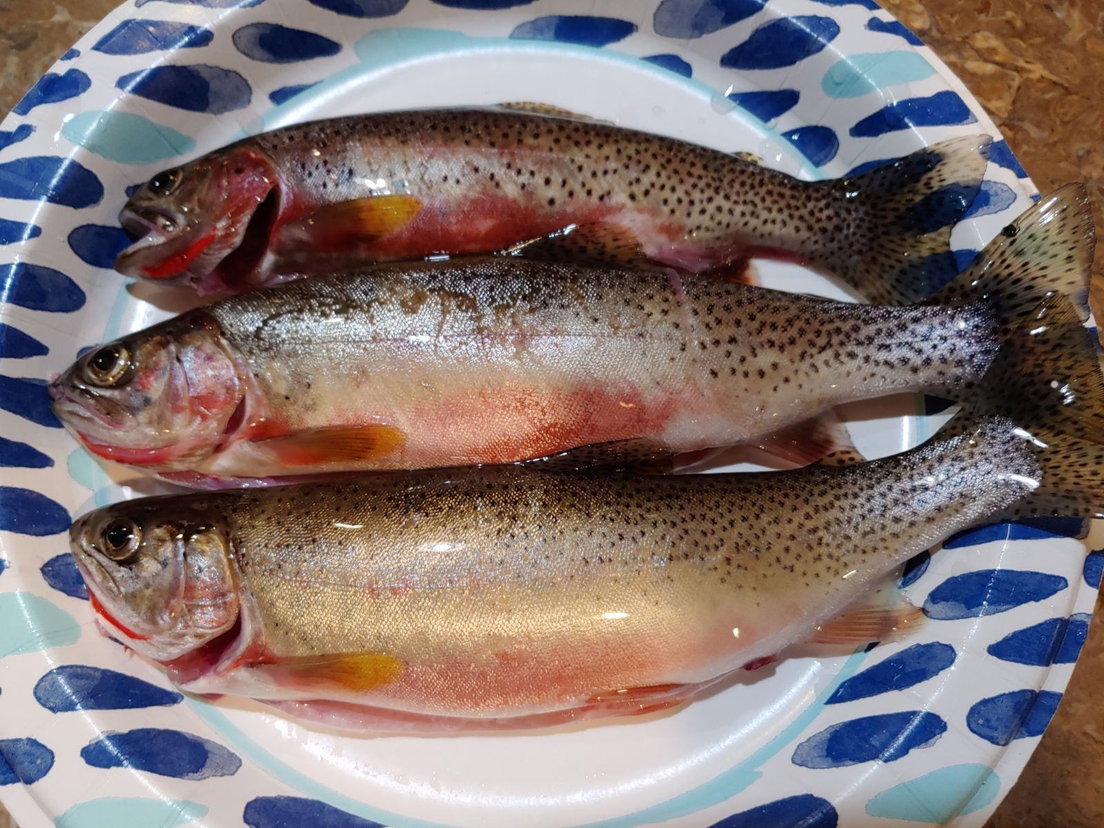 124 Morrison Lane Property Photo 50