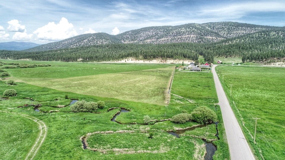 124 Morrison Lane Property Photo 89