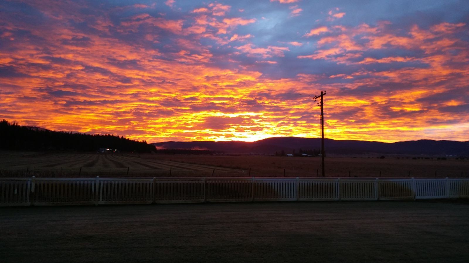 124 Morrison Lane Property Photo 91