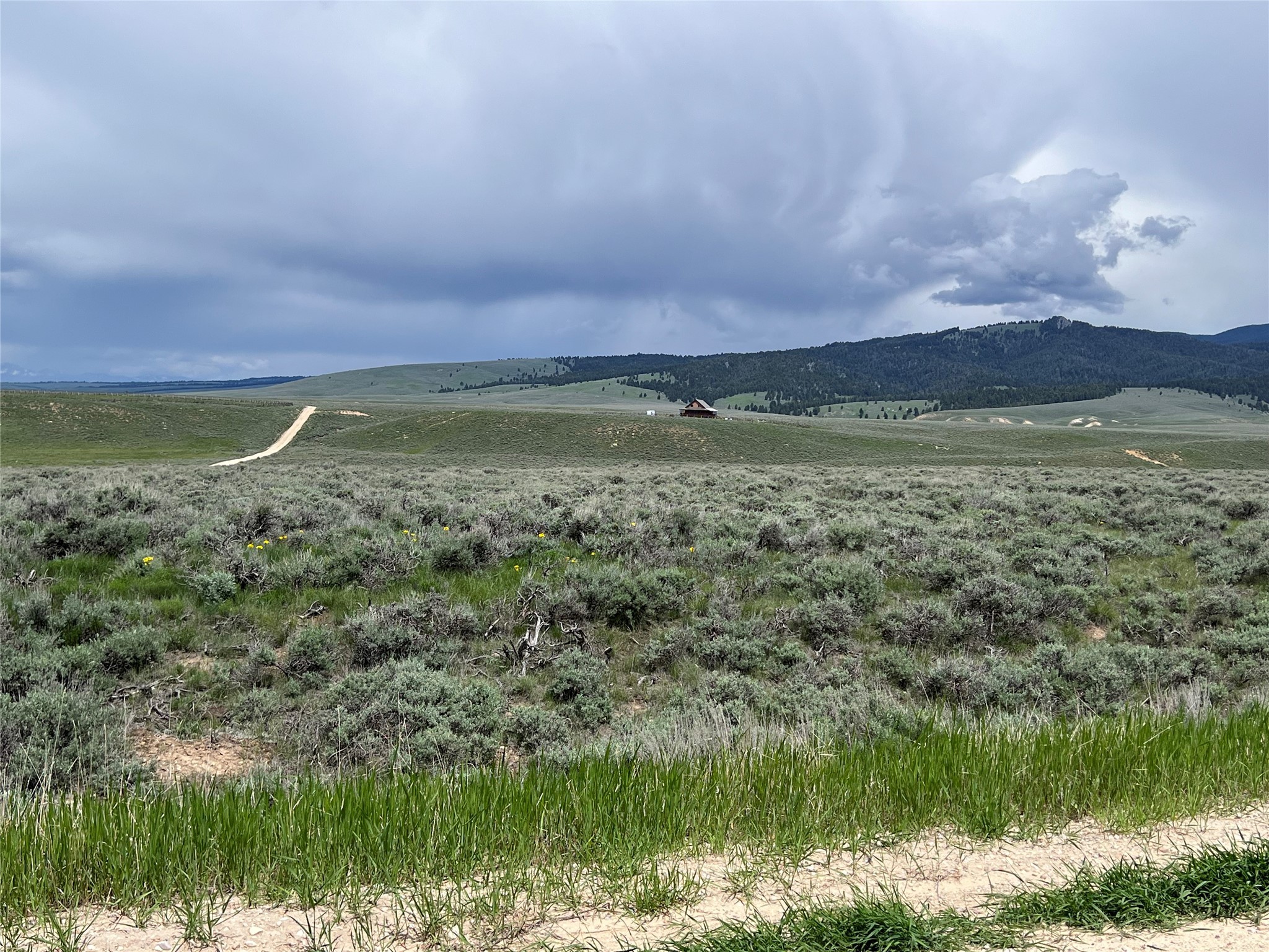 Tract 11 Steel Creek Road Property Photo 8