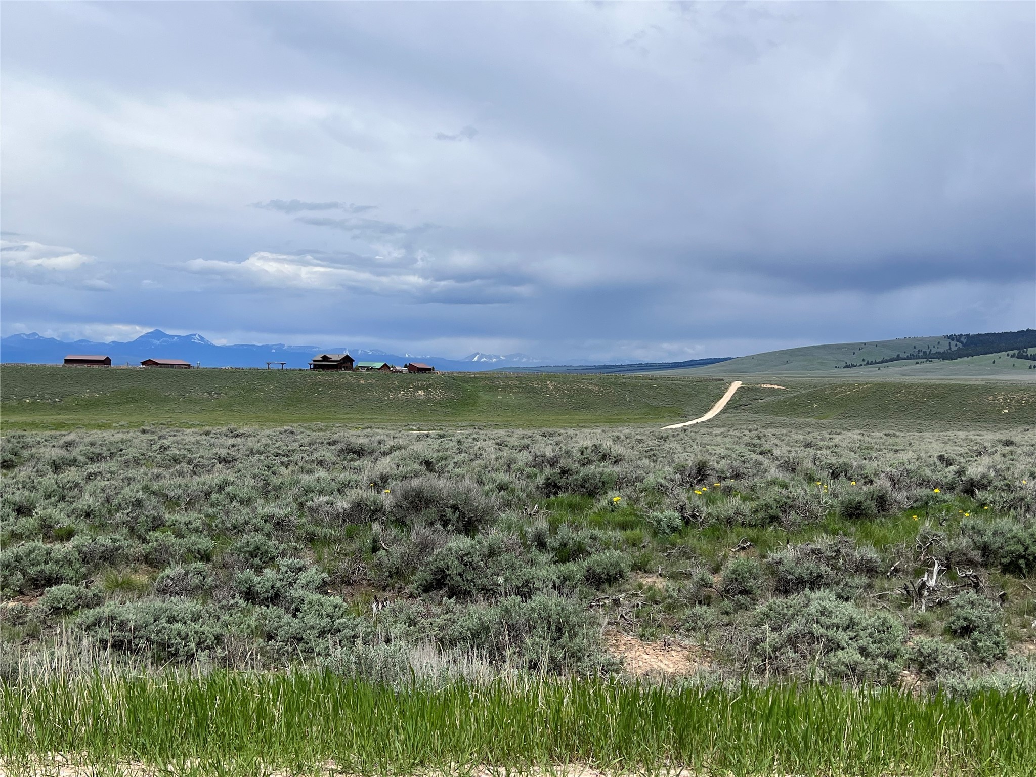 Tract 11 Steel Creek Road Property Photo 9