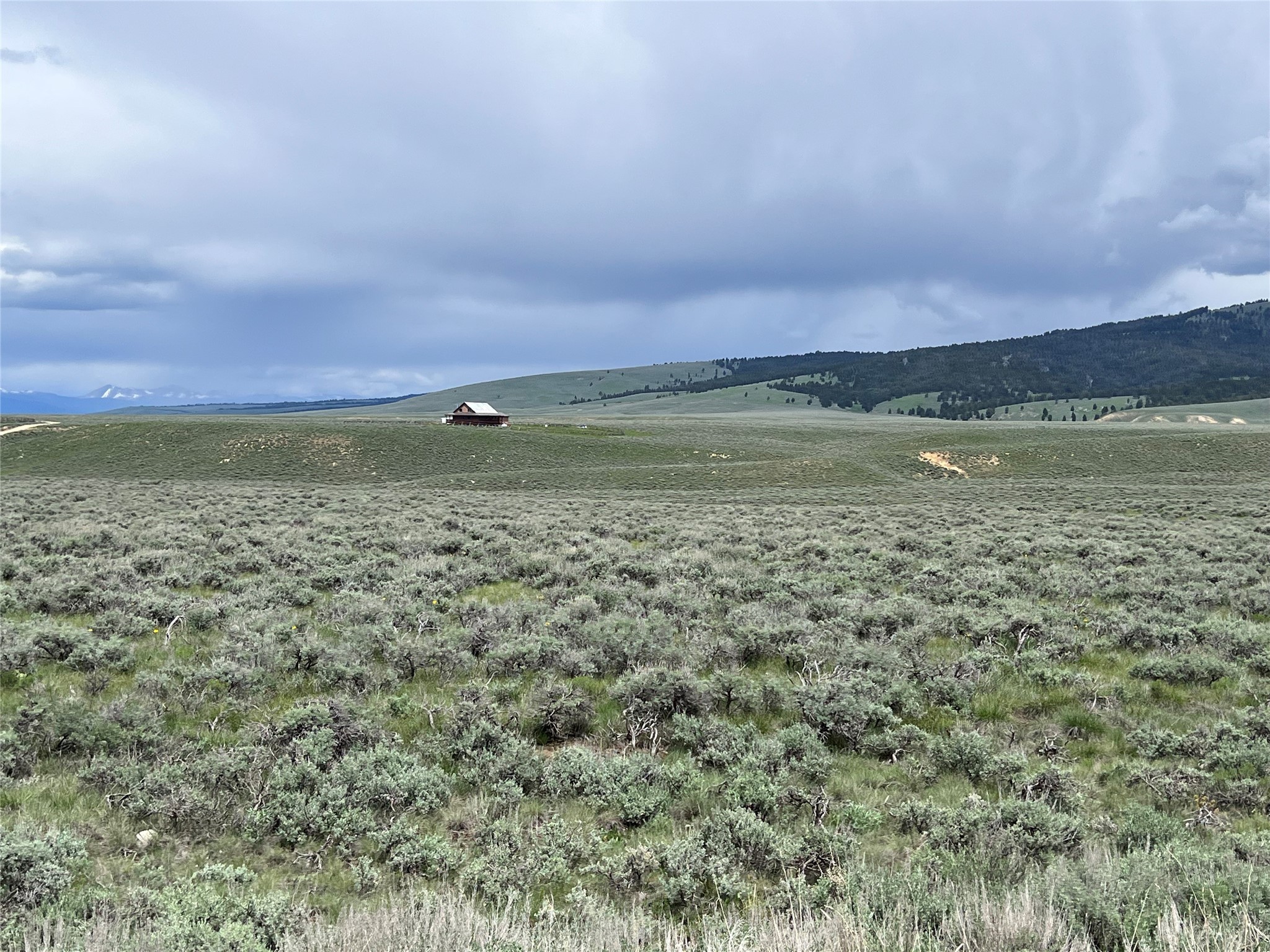 Tract 10 Steel Creek Road Property Photo 1