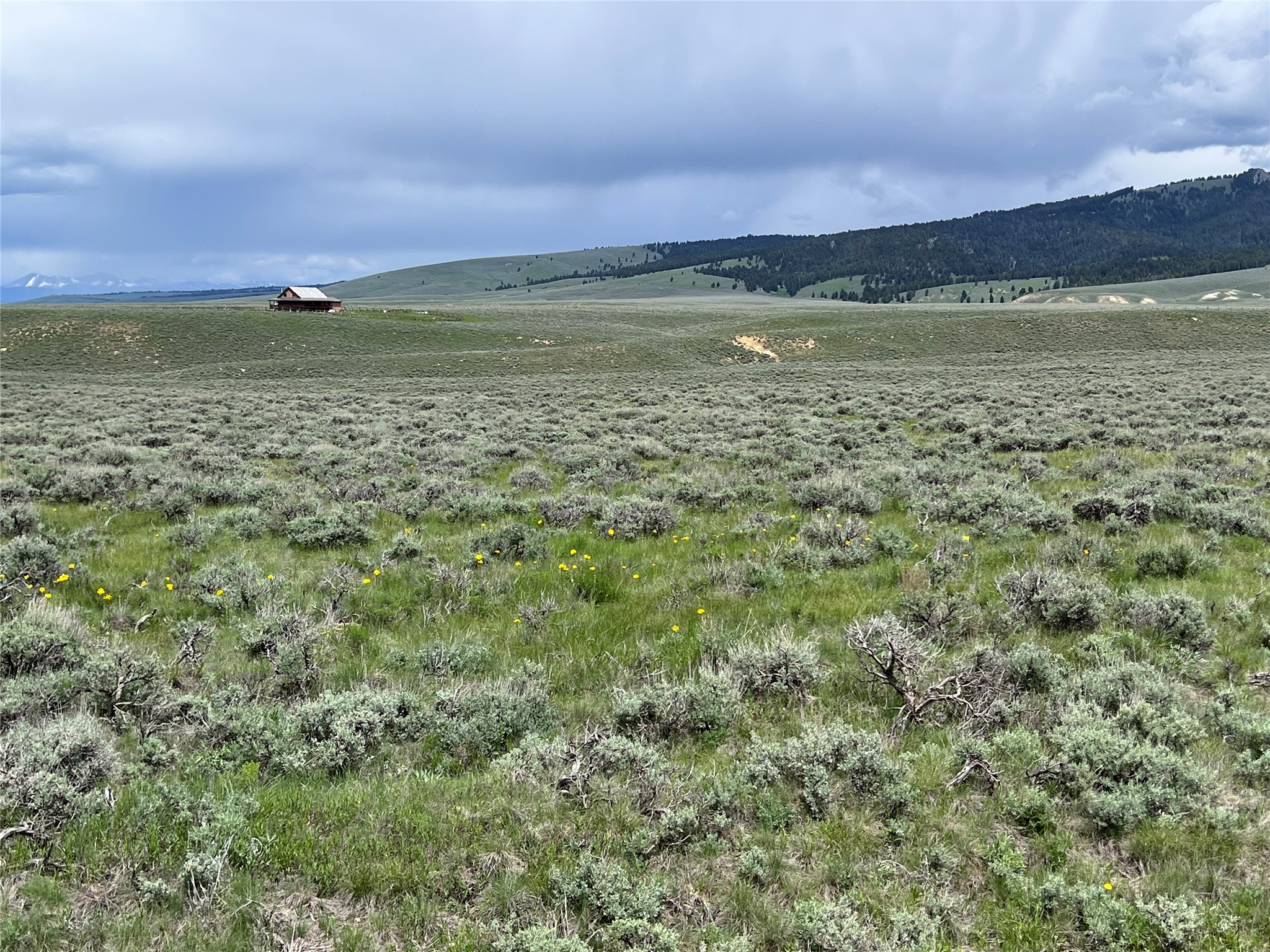 Tract 10 Steel Creek Road Property Photo 2