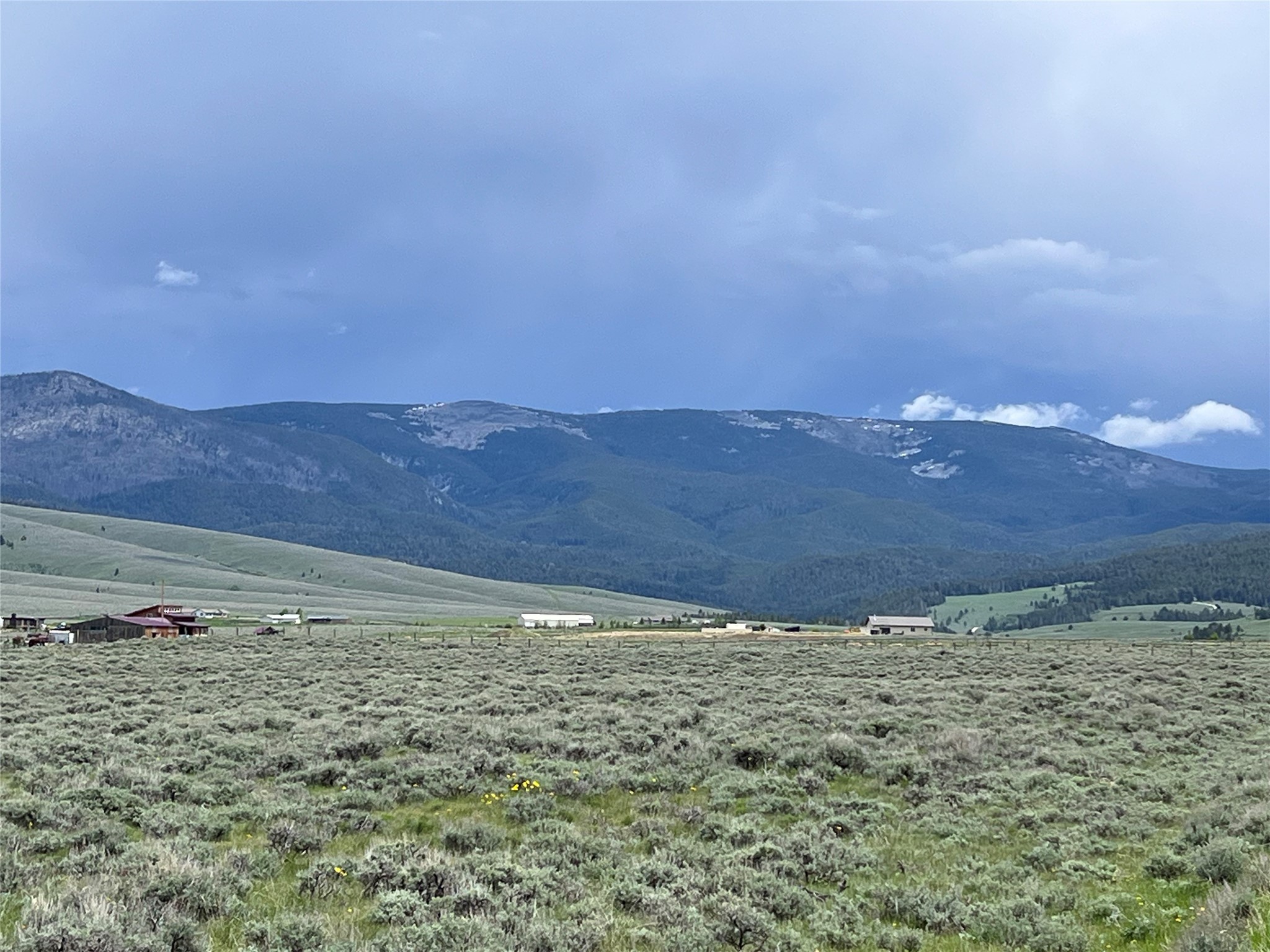 Tract 10 Steel Creek Road Property Photo 8