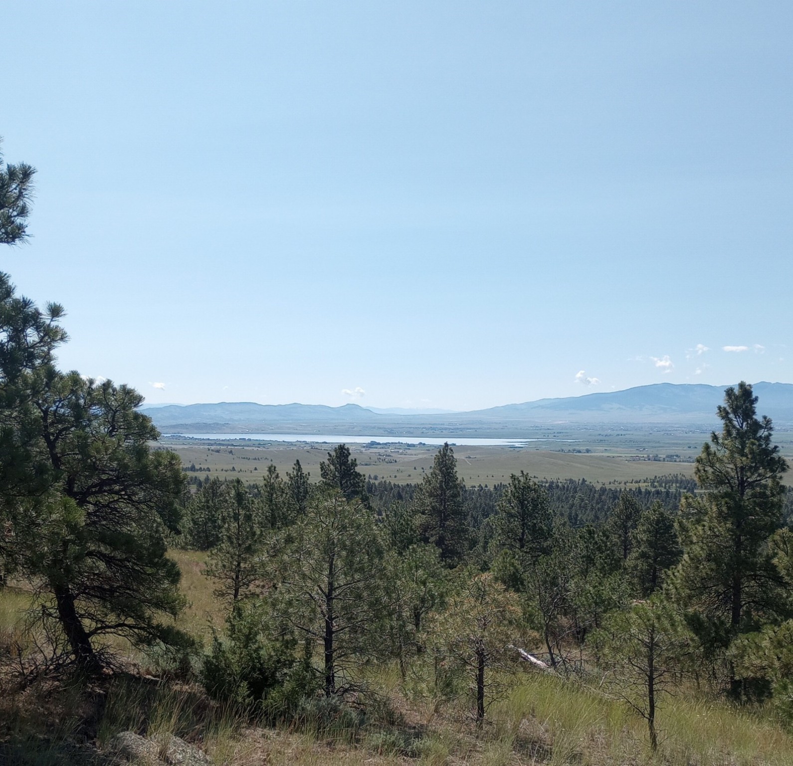 8981 Jackpine Drive Property Photo 1
