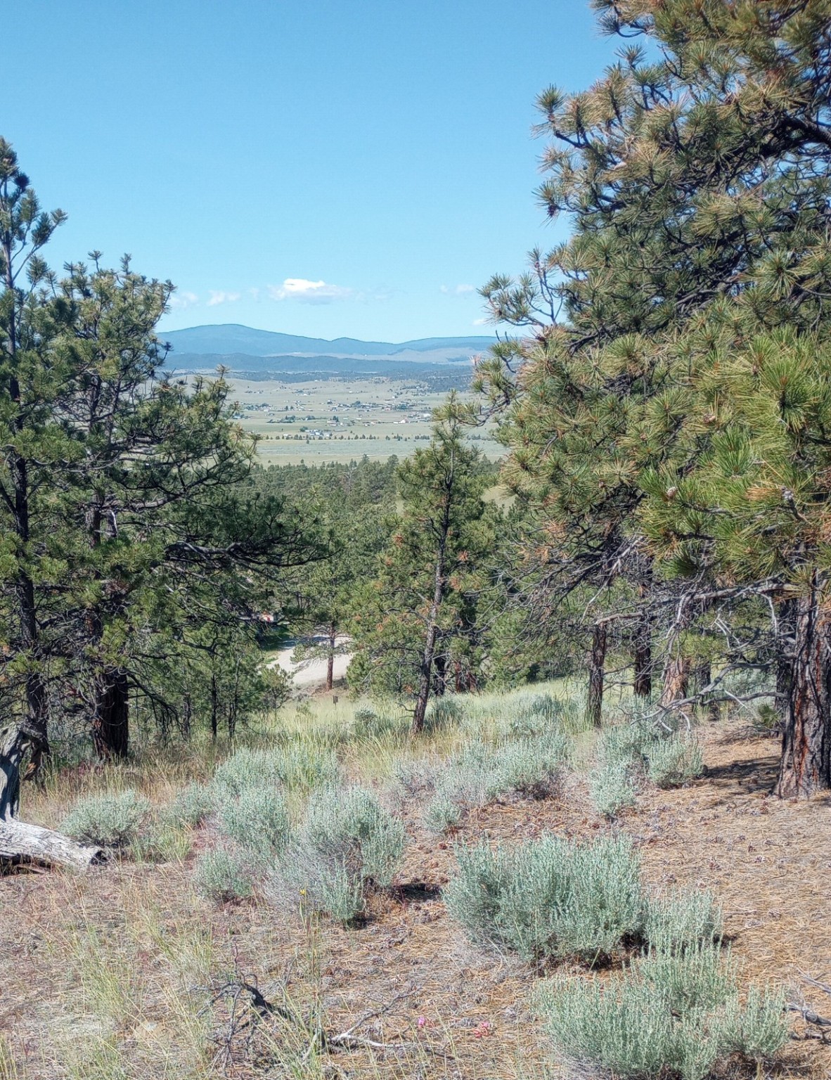 8981 Jackpine Drive Property Photo 2