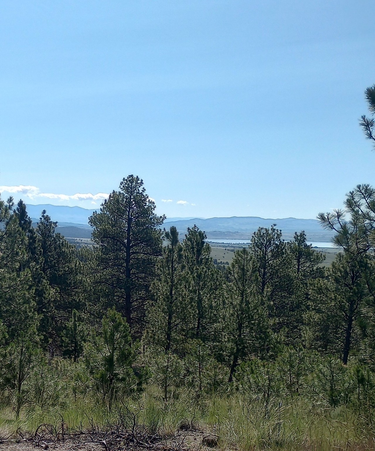 8981 Jackpine Drive Property Photo 6