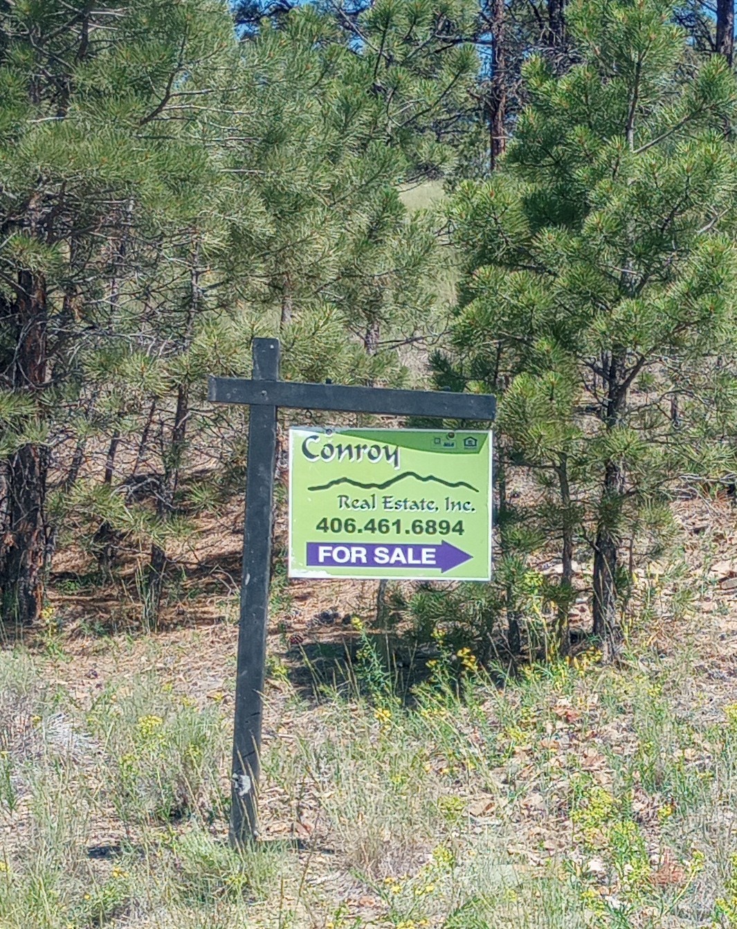 8981 Jackpine Drive Property Photo 13