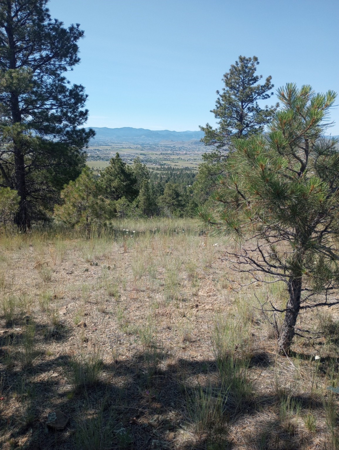 8981 Jackpine Drive Property Photo 15