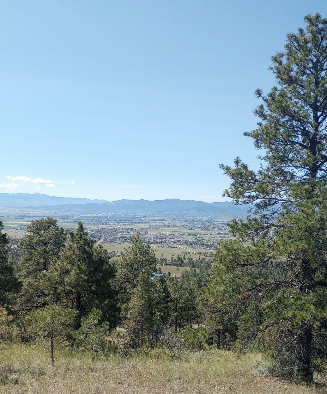 8981 Jackpine Drive Property Photo 17