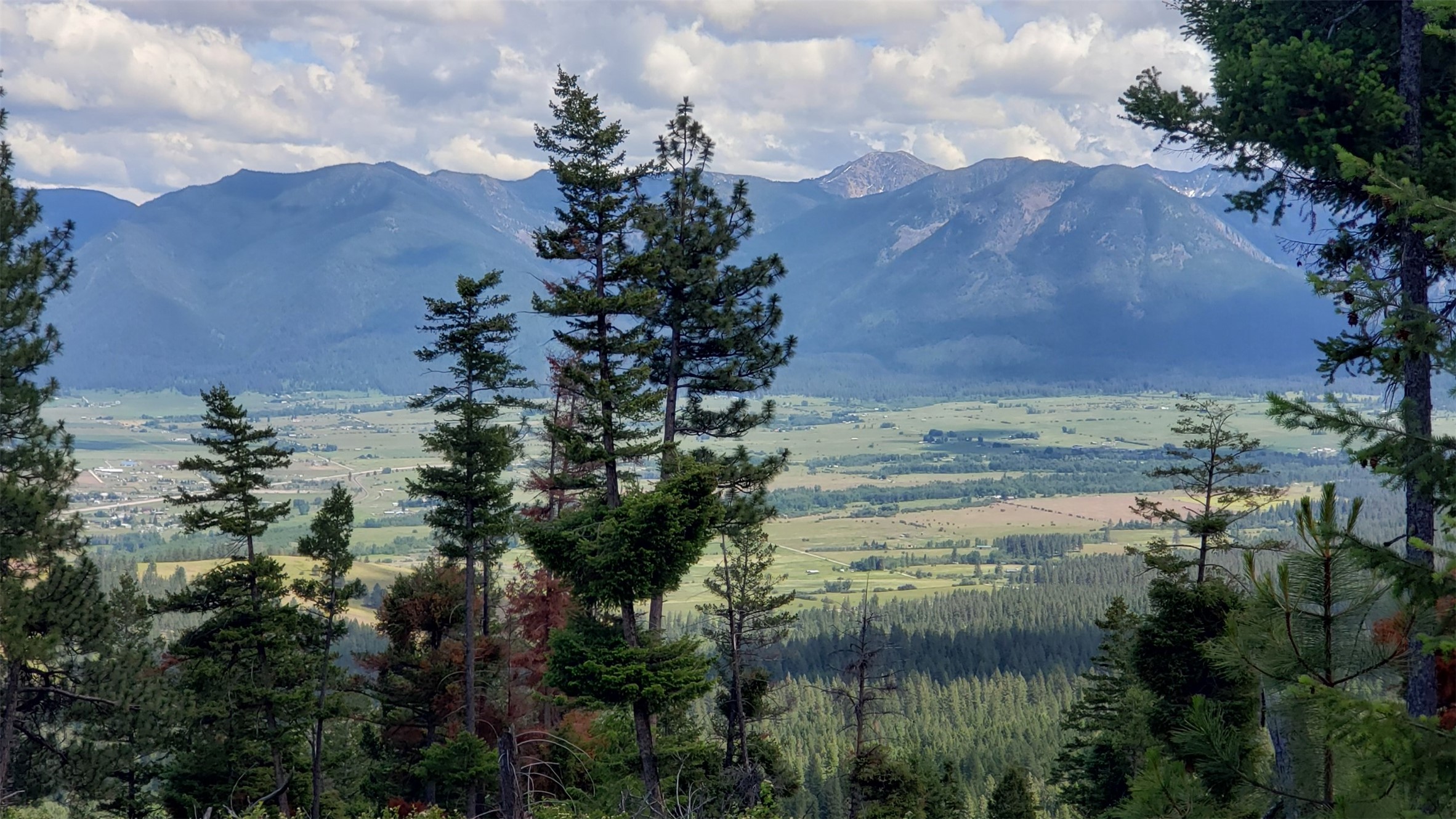 Lot 21 Arlee Pines Property Photo
