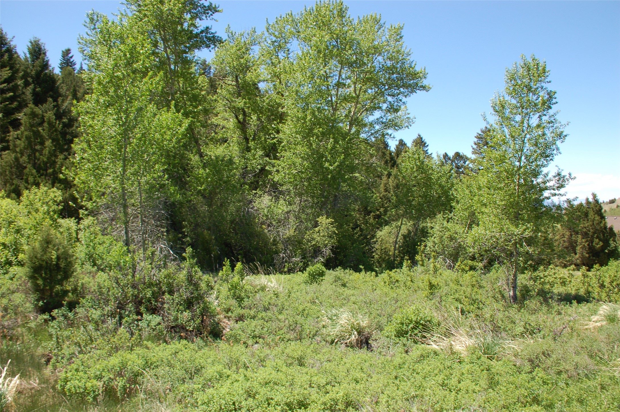 Multiple Blocks Property Photo 6