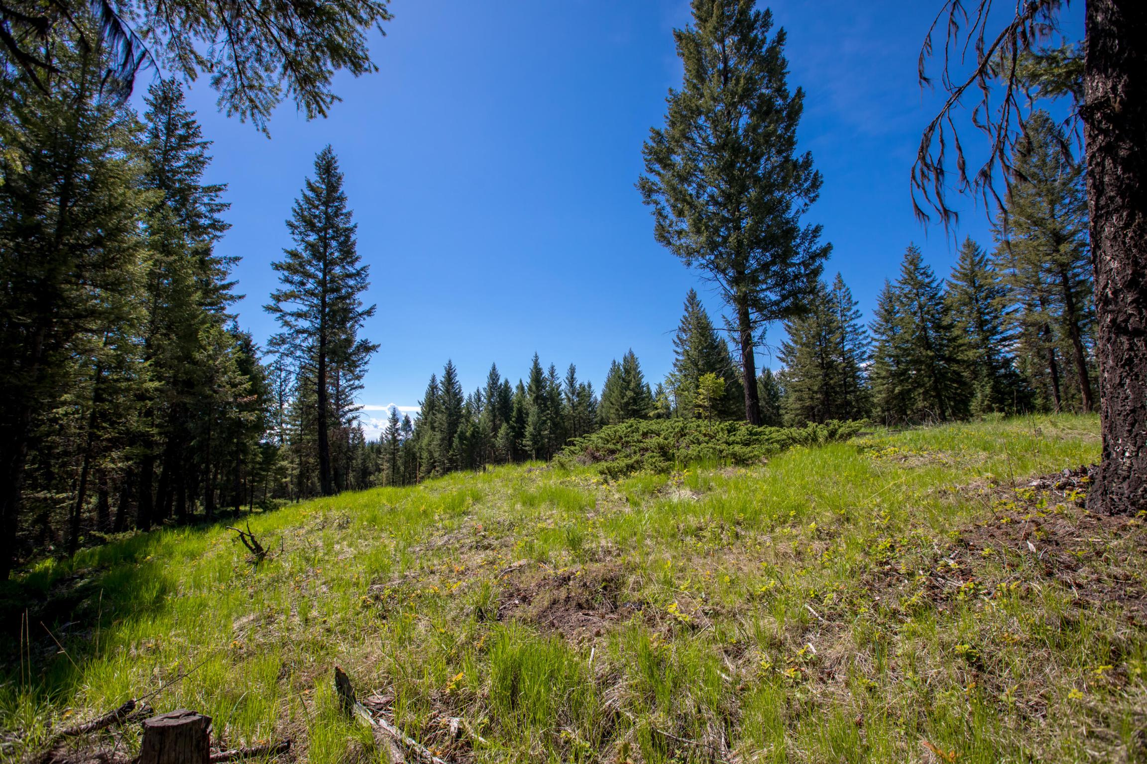 Nhn Aspen Glen Road Property Photo 1