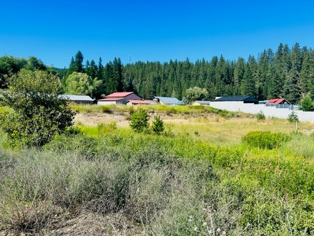 120 Monte Circle Drive Property Photo 4