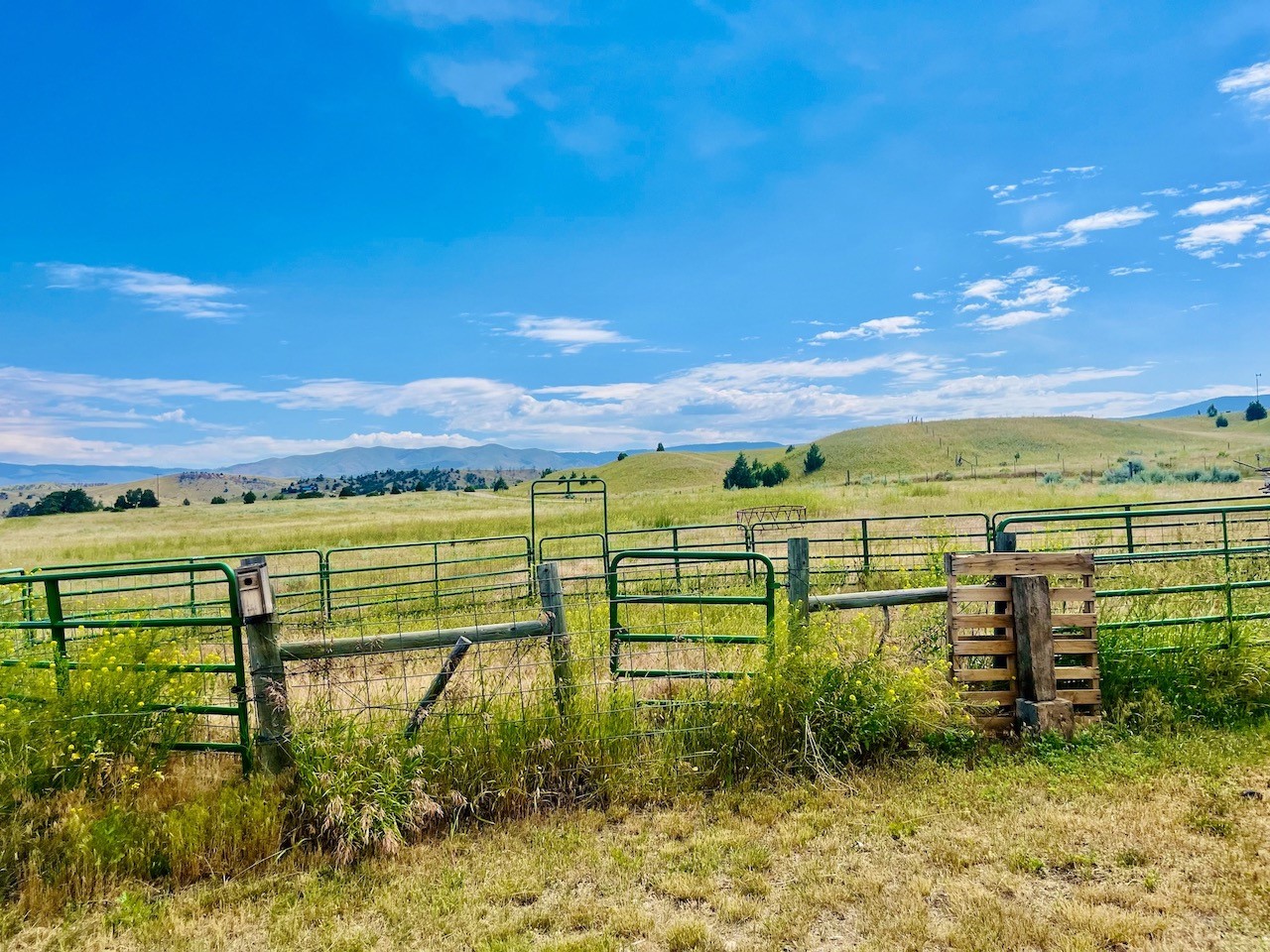 18711 Crystal Mountain Road Property Photo 11