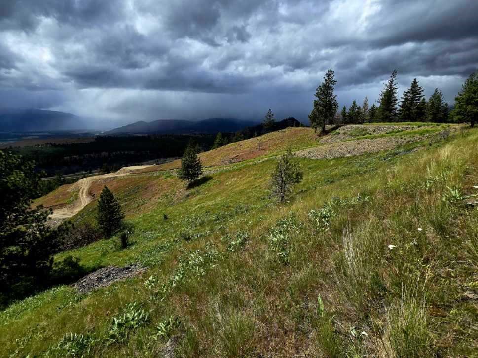 Lot 5 Diamond S Estates Property Photo 1