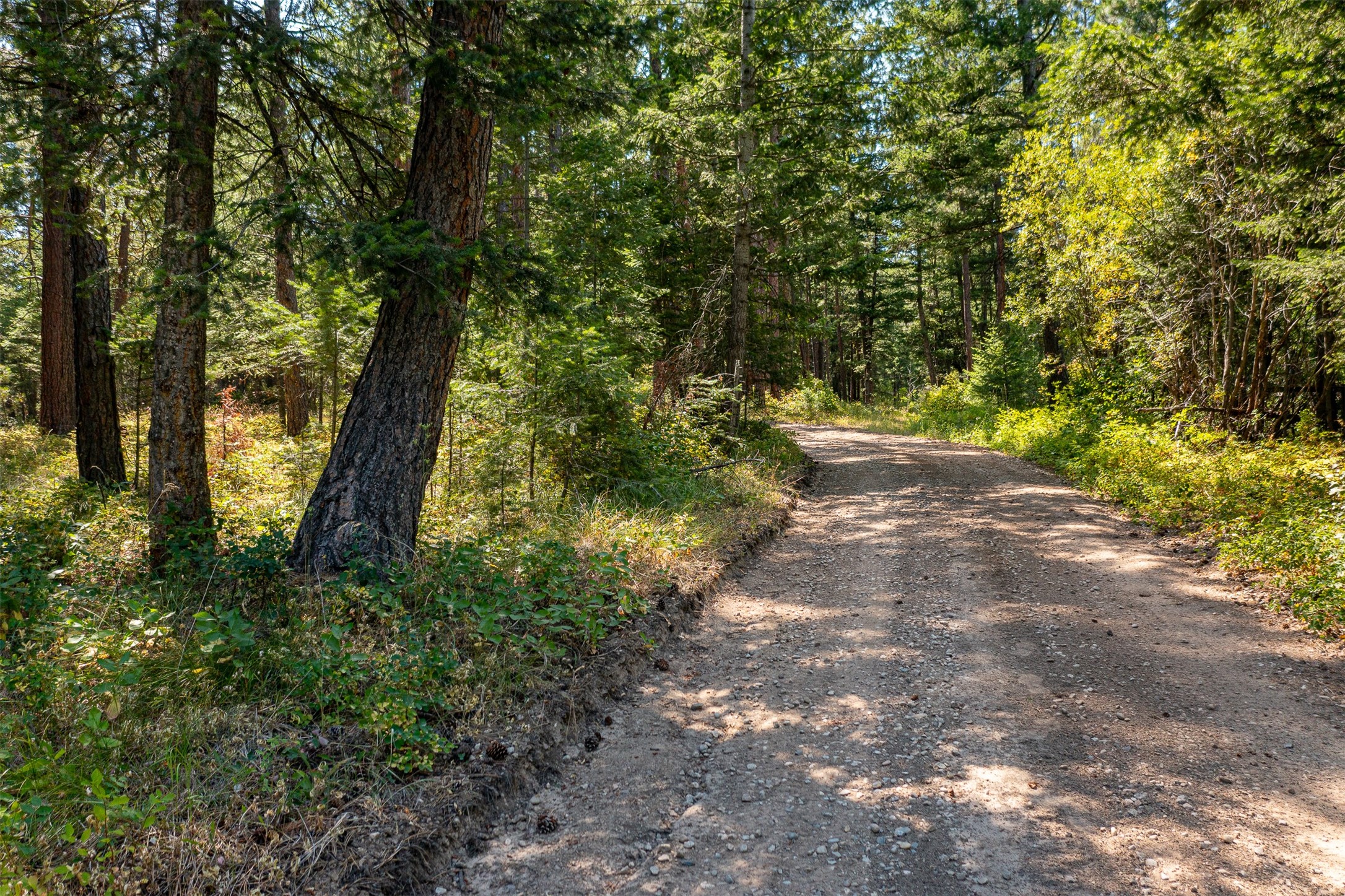 000 Gash Creek Road Property Photo 1