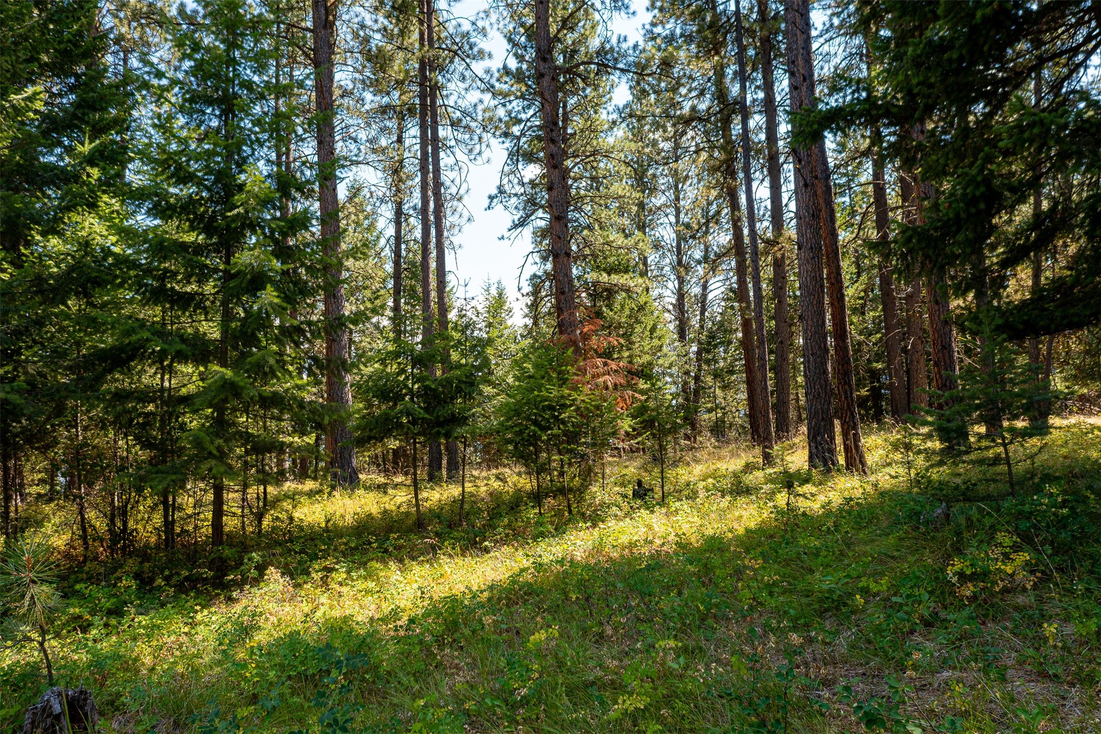 000 Gash Creek Road Property Photo 2