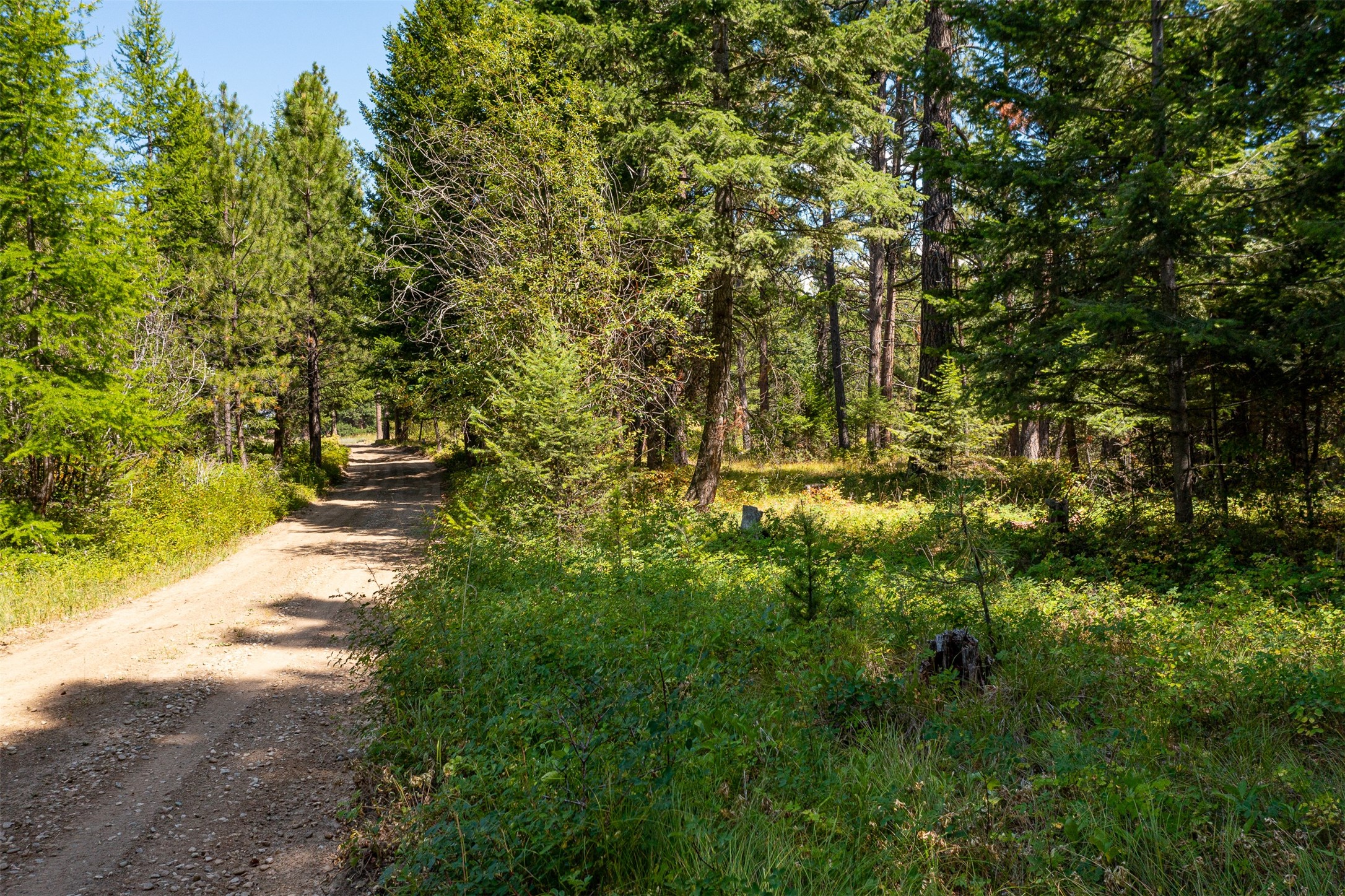 000 Gash Creek Road Property Photo 3