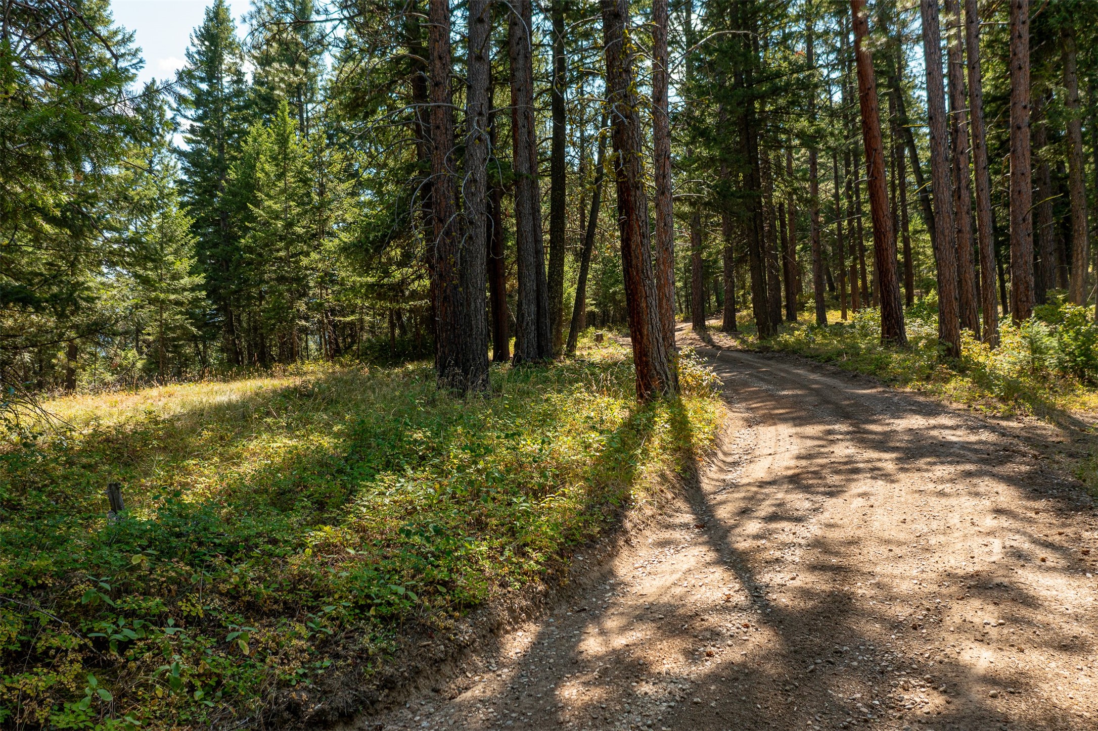 000 Gash Creek Road Property Photo 4