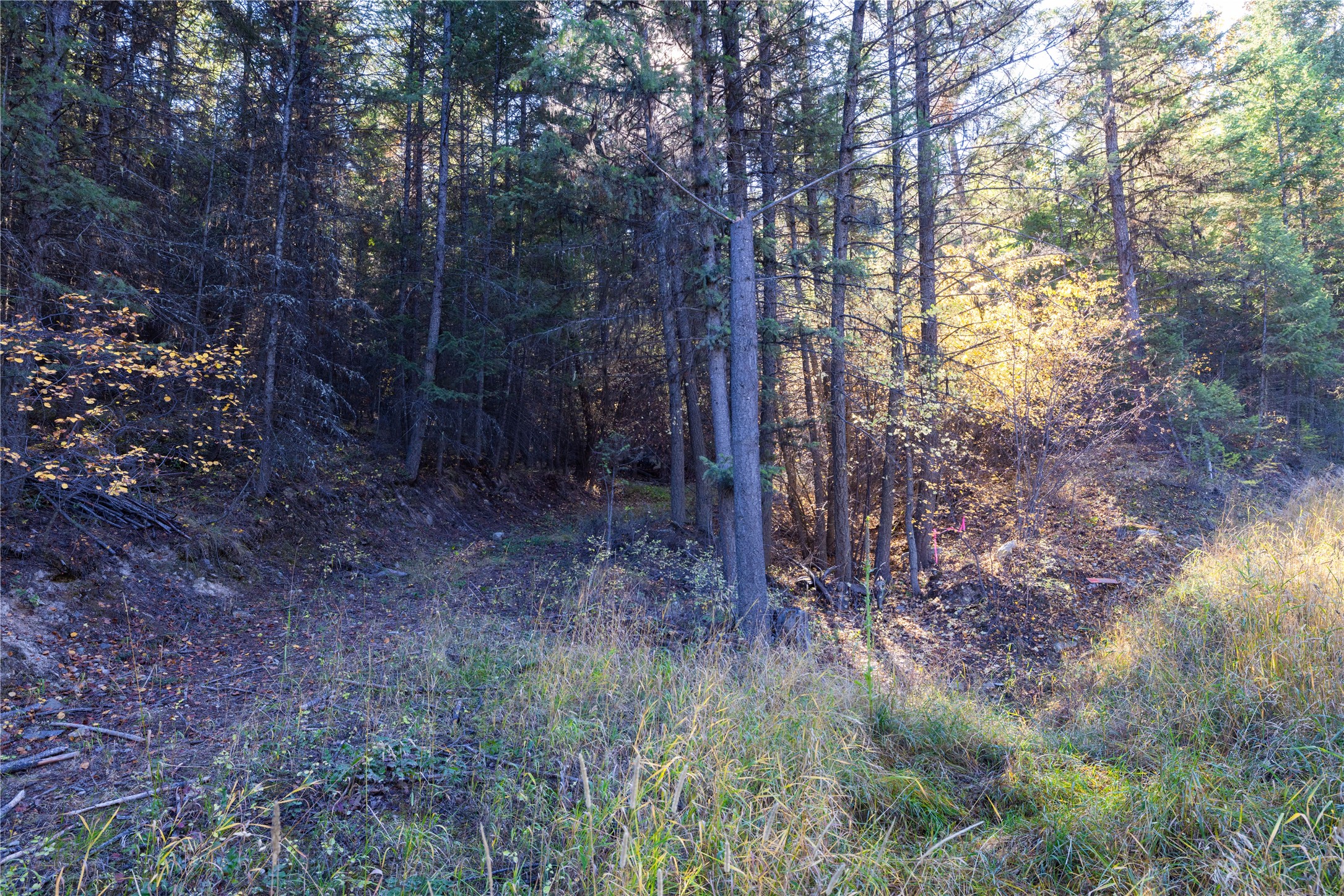 10 Acres Gut Creek Road Property Photo 1