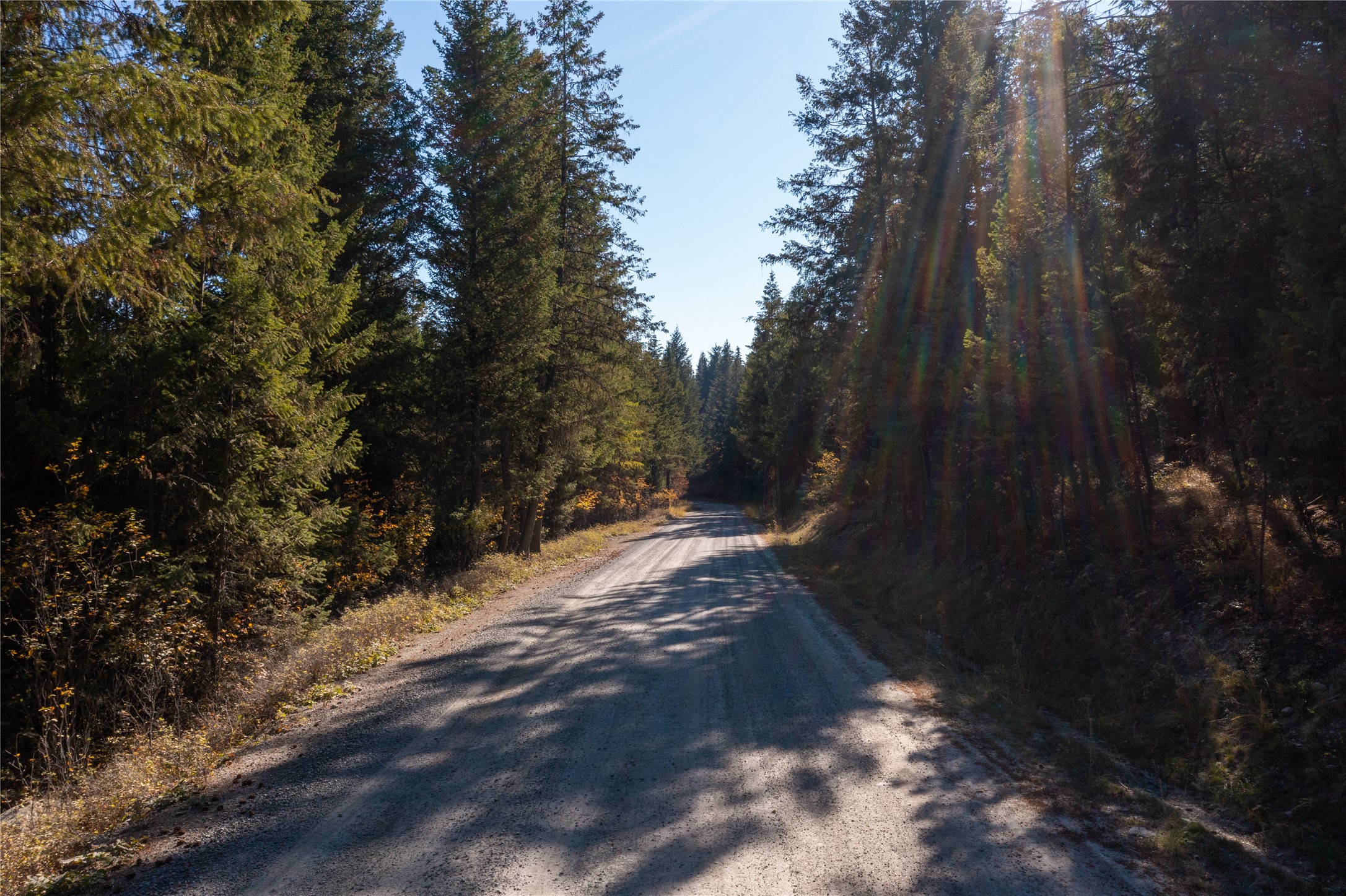 10 Acres Gut Creek Road Property Photo 3