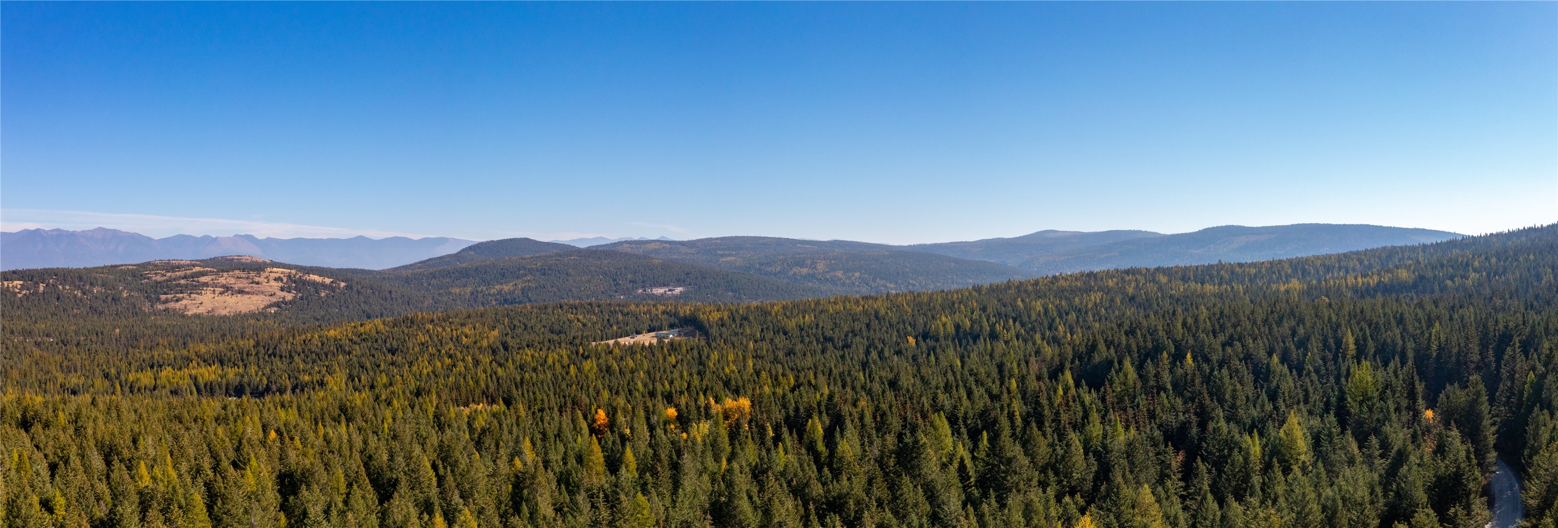 10 Acres Gut Creek Road Property Photo 5