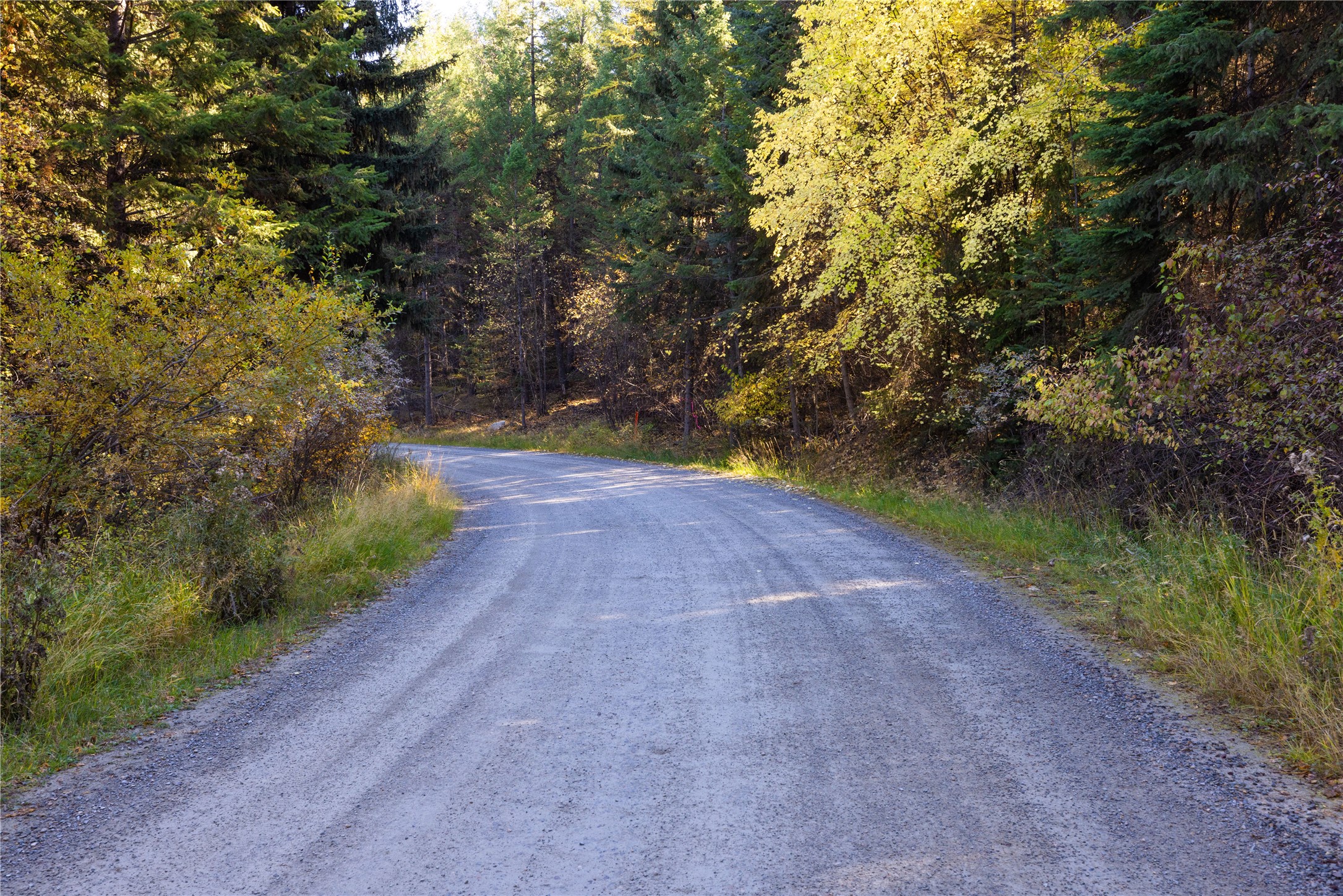 10 Acres Gut Creek Road Property Photo 15
