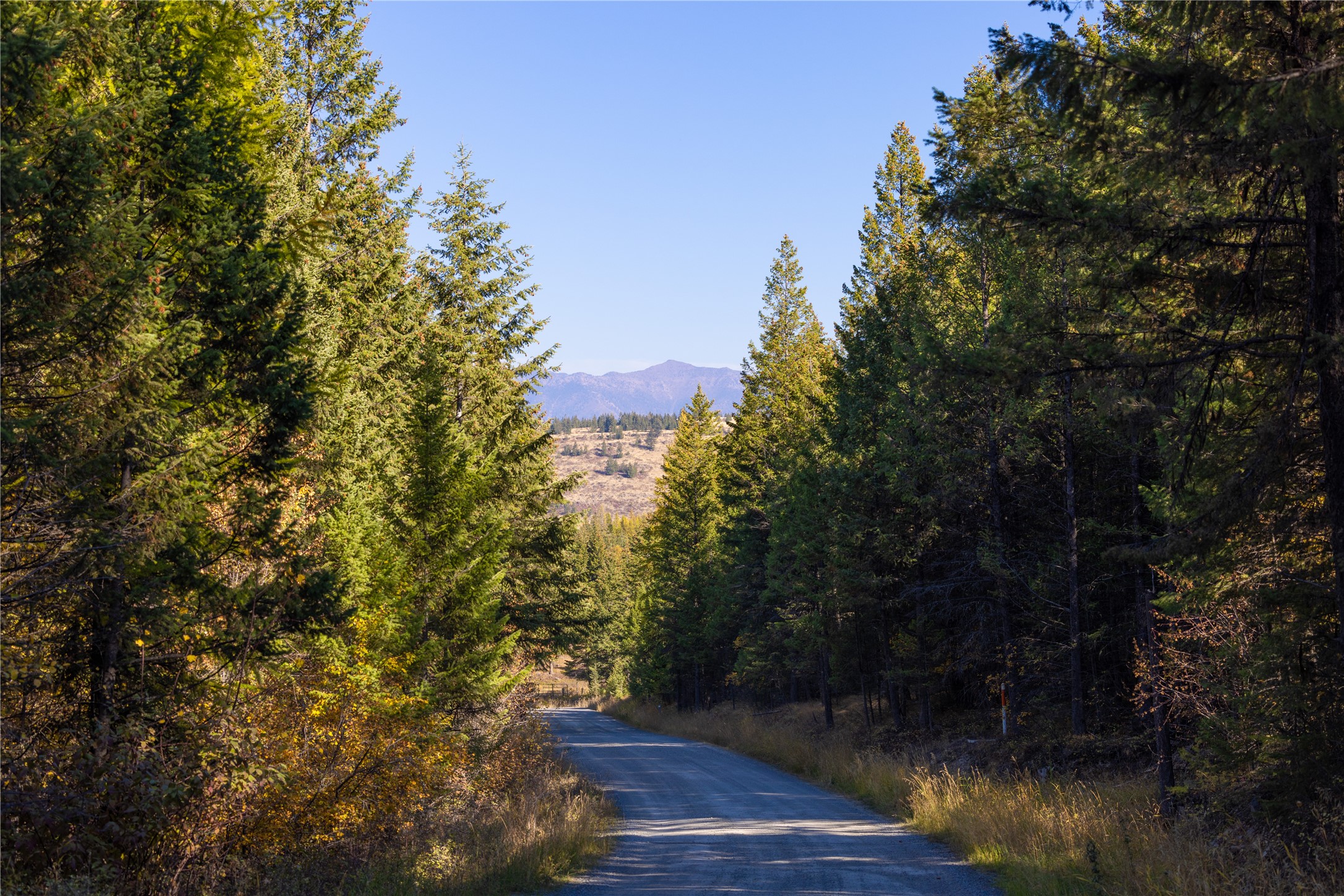 10 Acres Gut Creek Road Property Photo 23