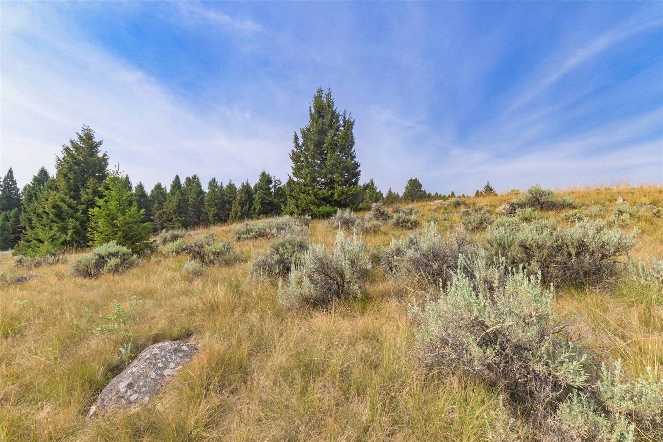 817 Pintler View Road Property Photo 15