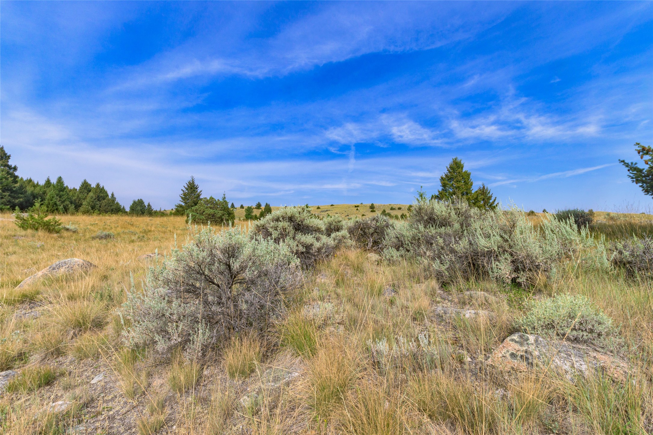 817 Pintler View Road Property Photo 18