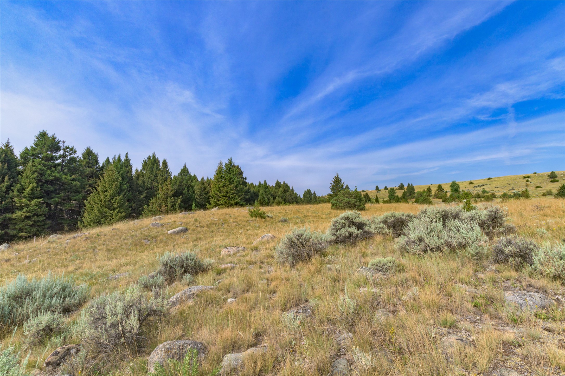 817 Pintler View Road Property Photo 19