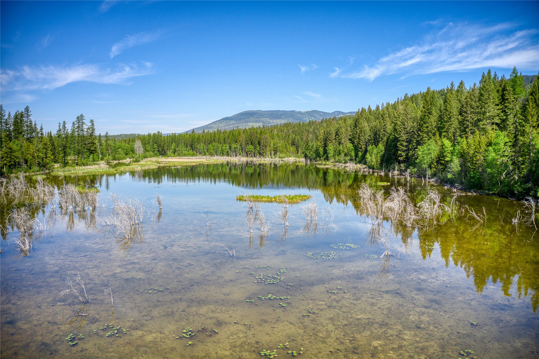 2280 North Fork Road Property Photo 3