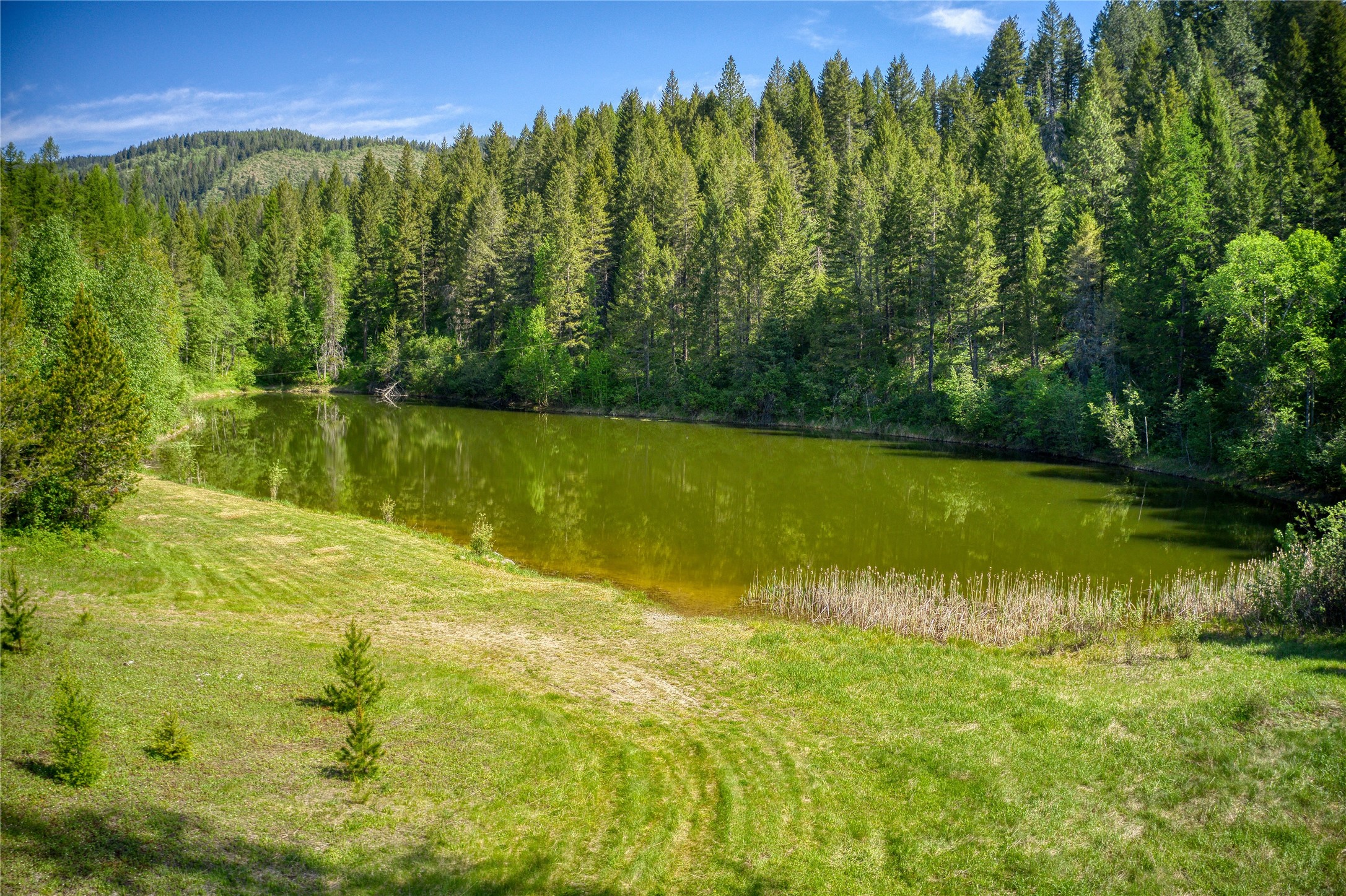 2280 North Fork Road Property Photo 10