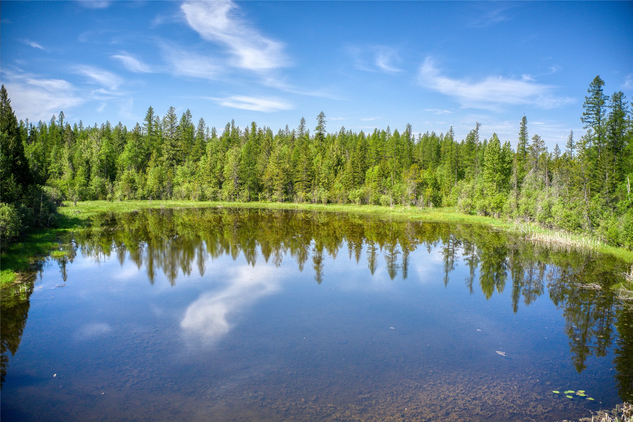 2280 North Fork Road Property Photo 11