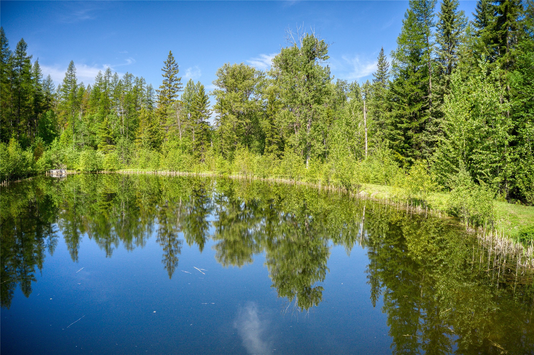 2280 North Fork Road Property Photo 12