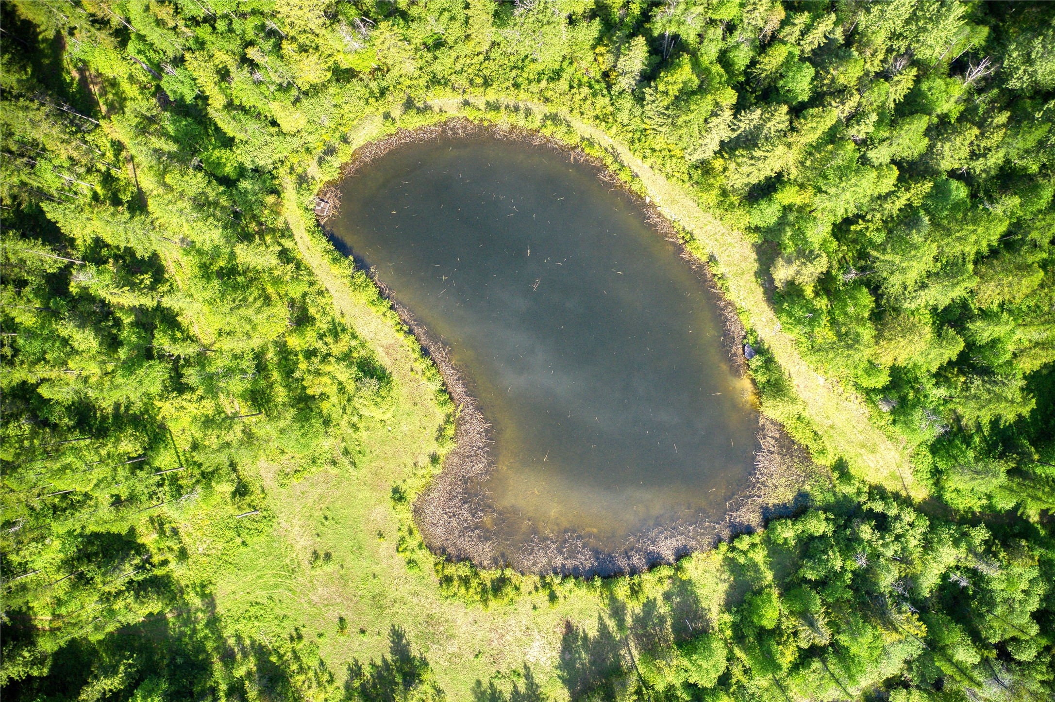 2280 North Fork Road Property Photo 20