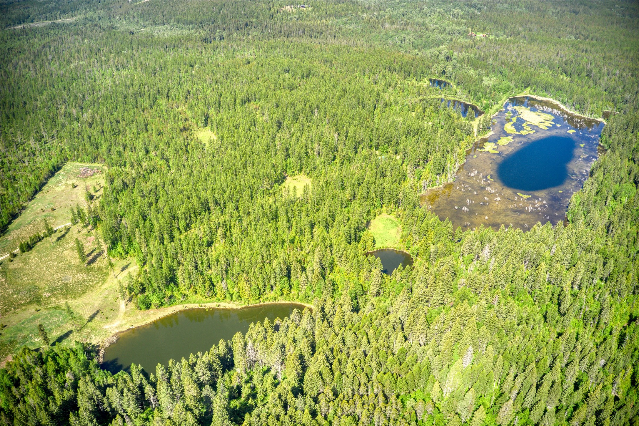 2280 North Fork Road Property Photo 22