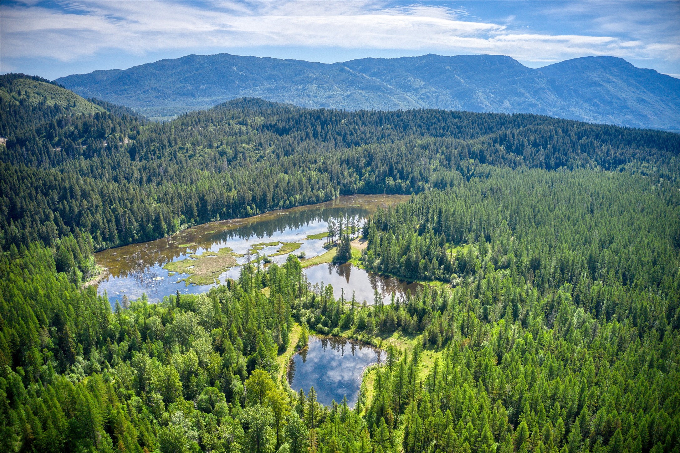 2280 North Fork Road Property Photo 23