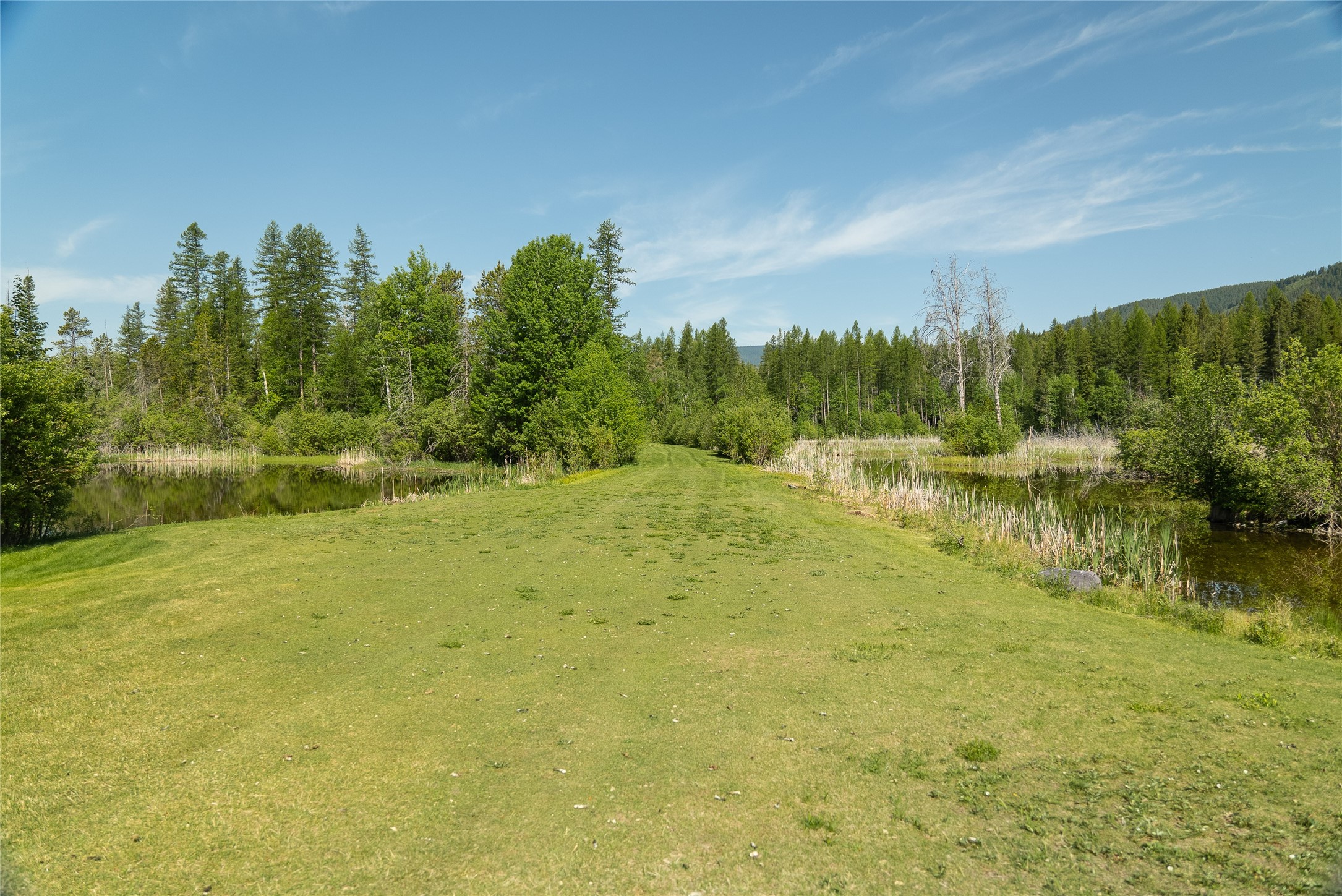 2280 North Fork Road Property Photo 44